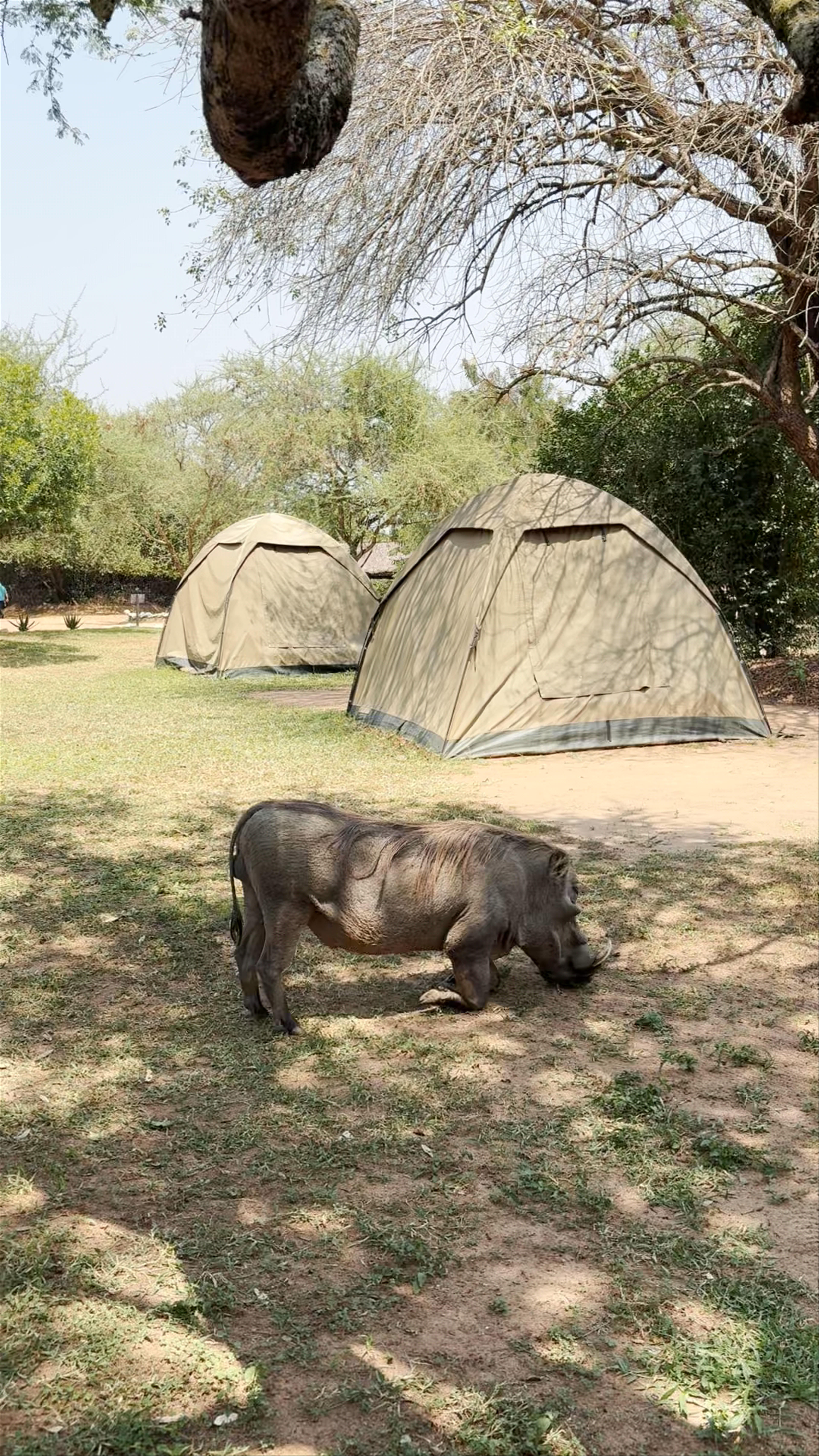 Red Chilli Rest Camp