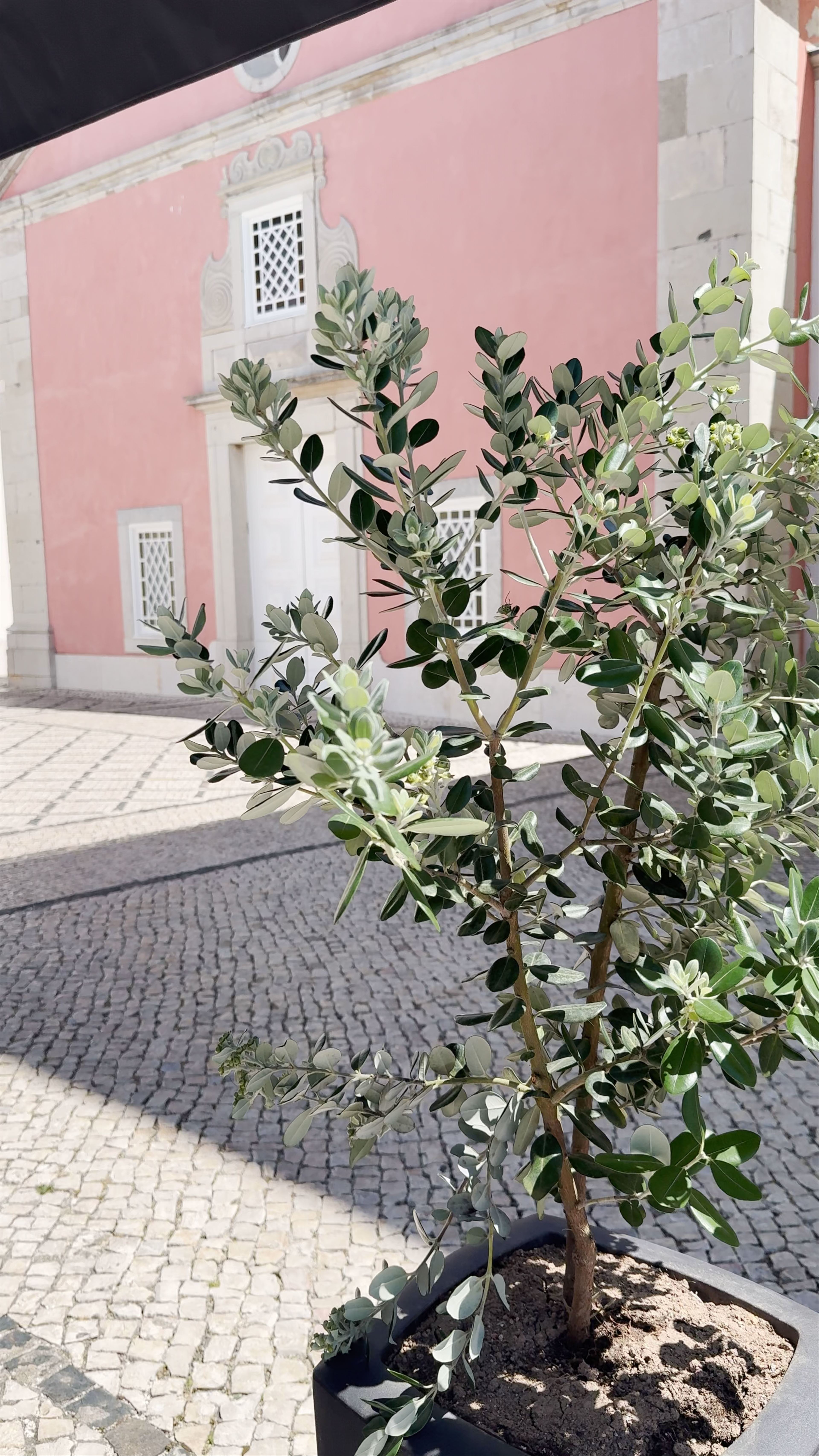 Capela de Nossa Senhora da Vitória