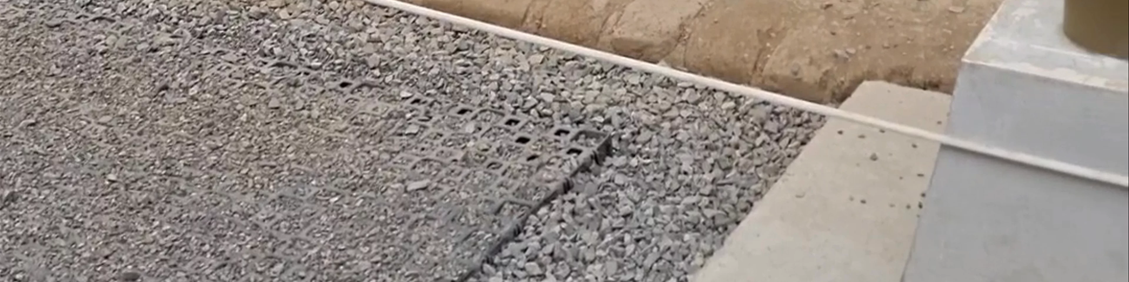 Corredor de Aves y Peces