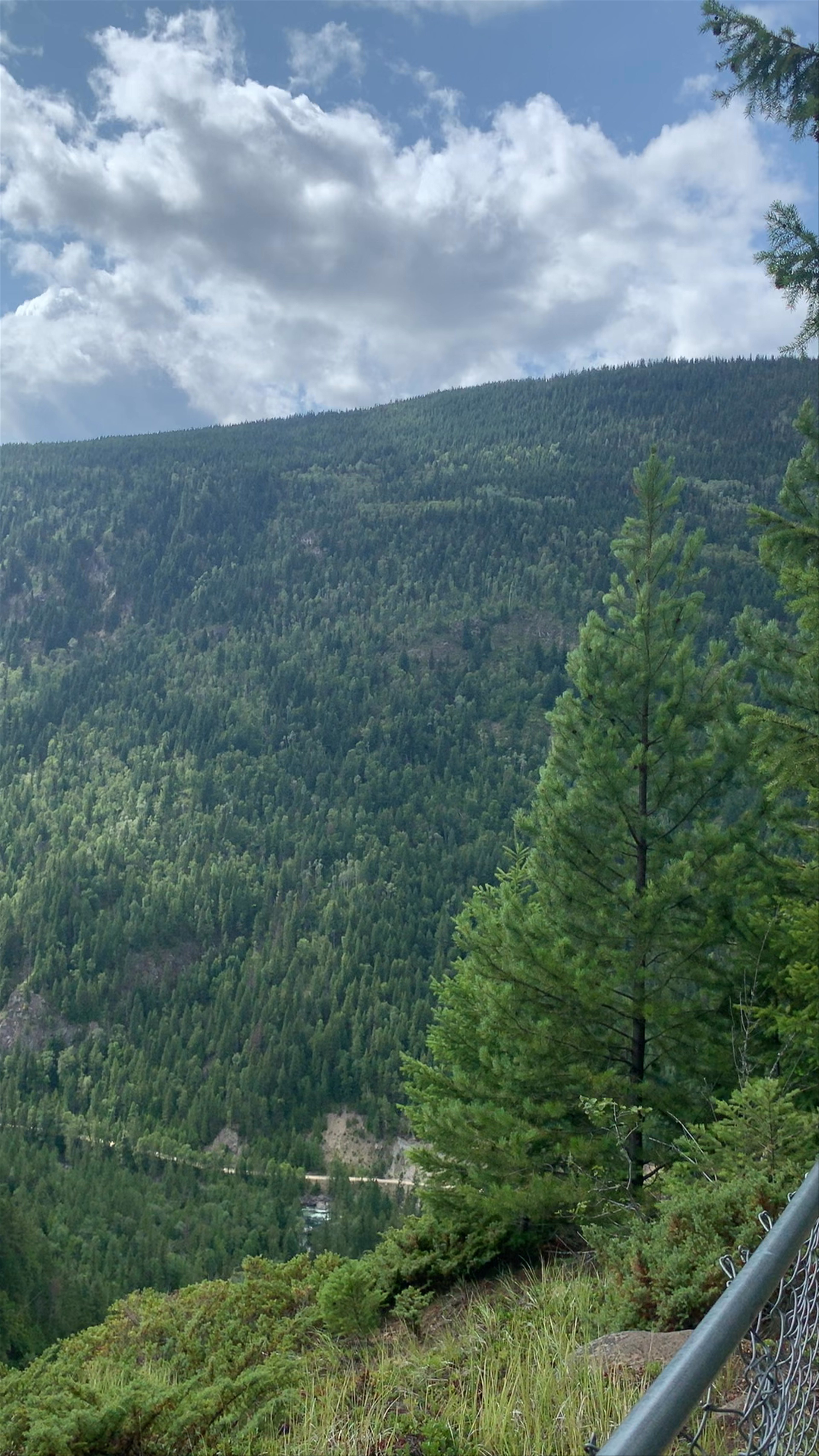 Wells Gray Provincial Park: Majestic Wilderness in British Columbia