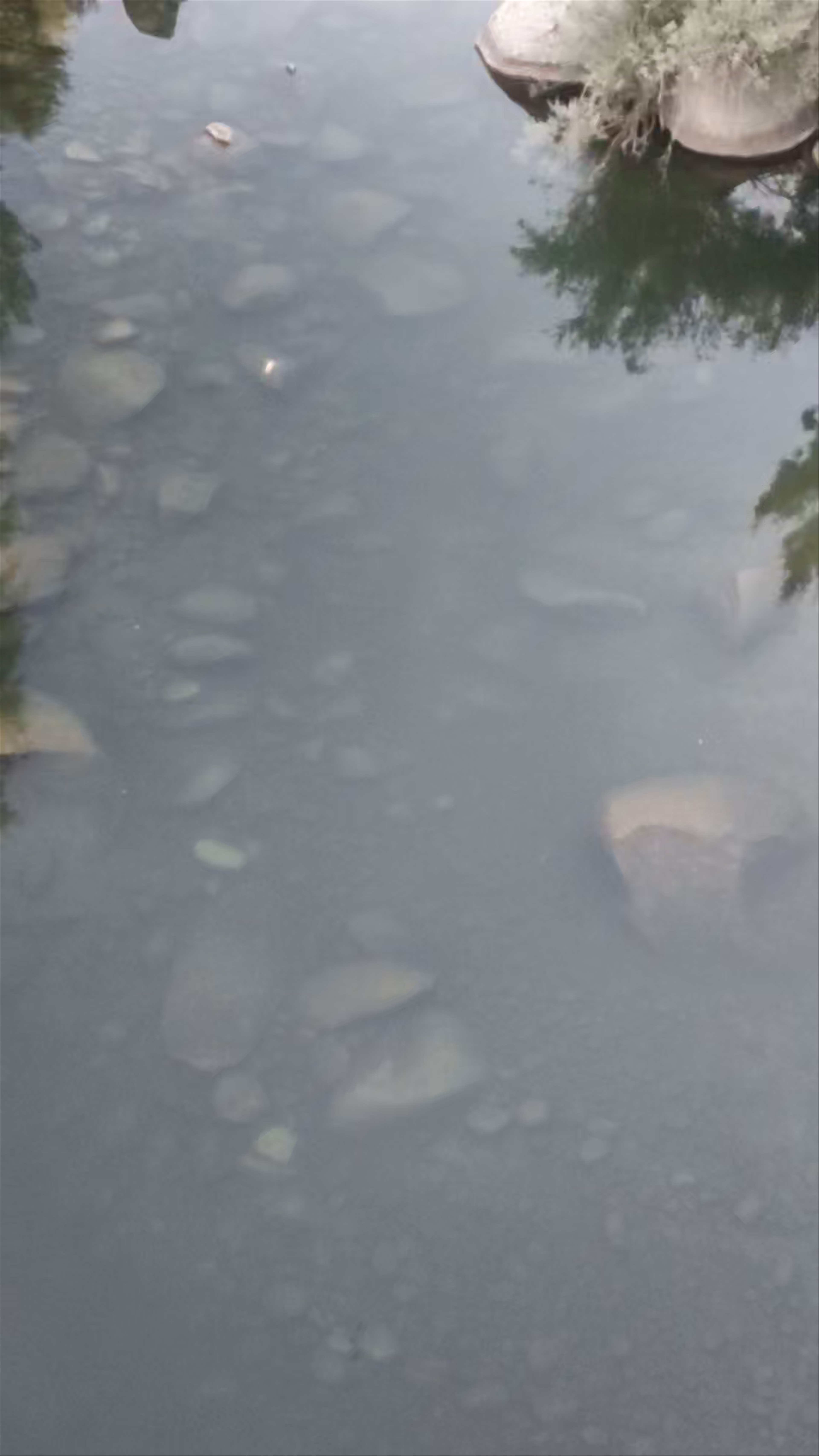 Mirador sobre el río Jerte