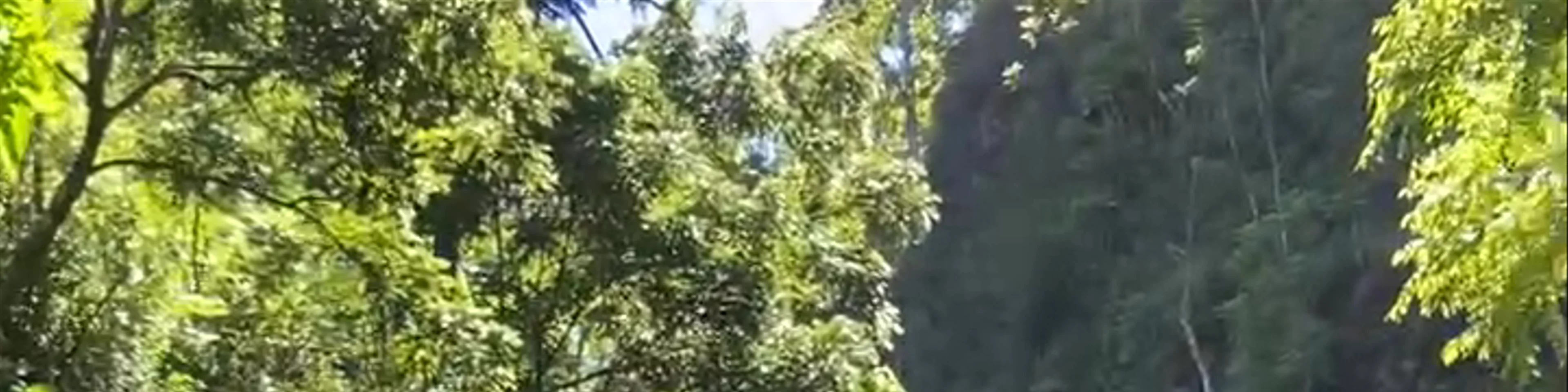Wailua Falls