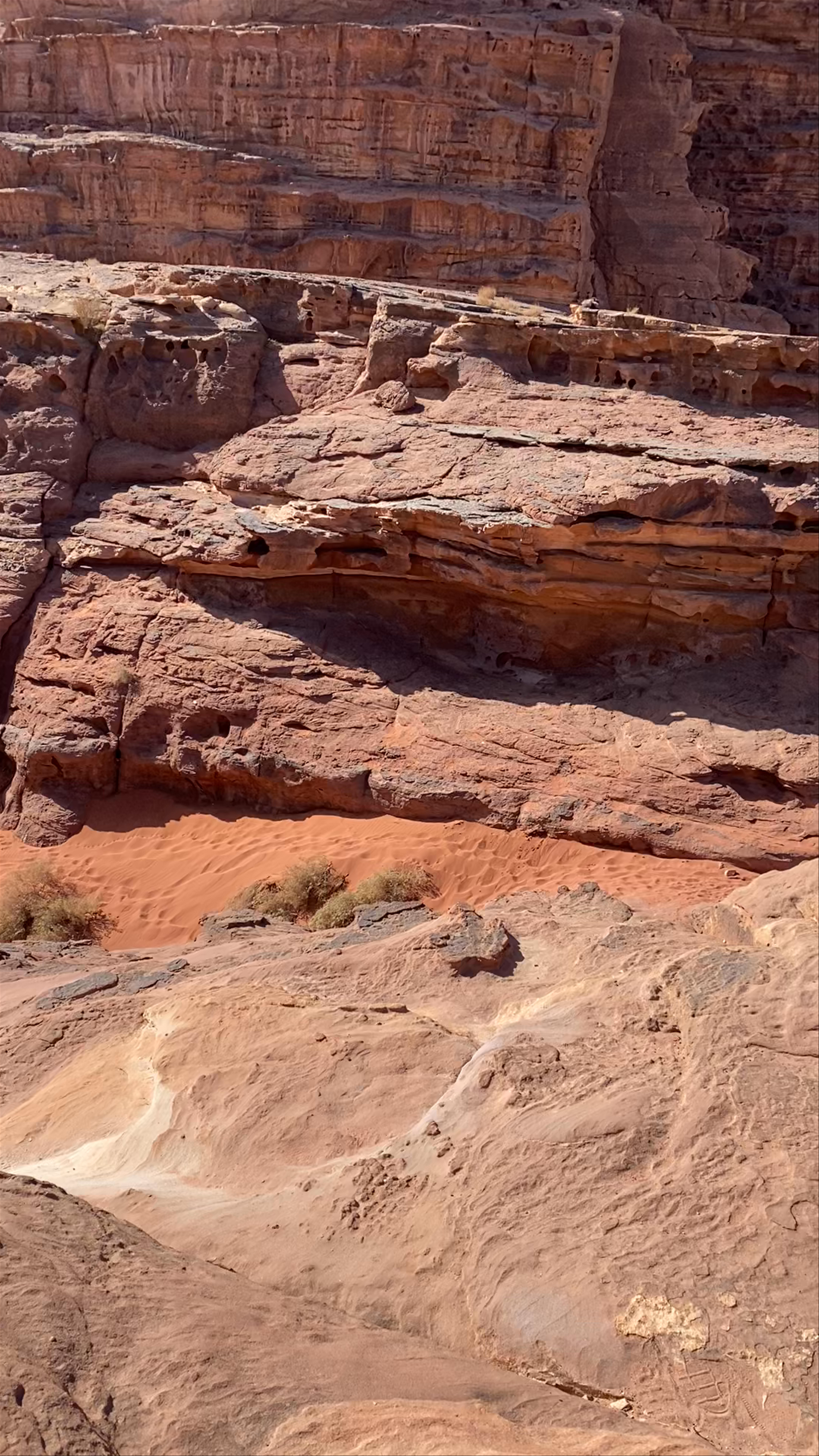 Sunlit Desert Horizons at Little Bridge, Wadi Rum Village