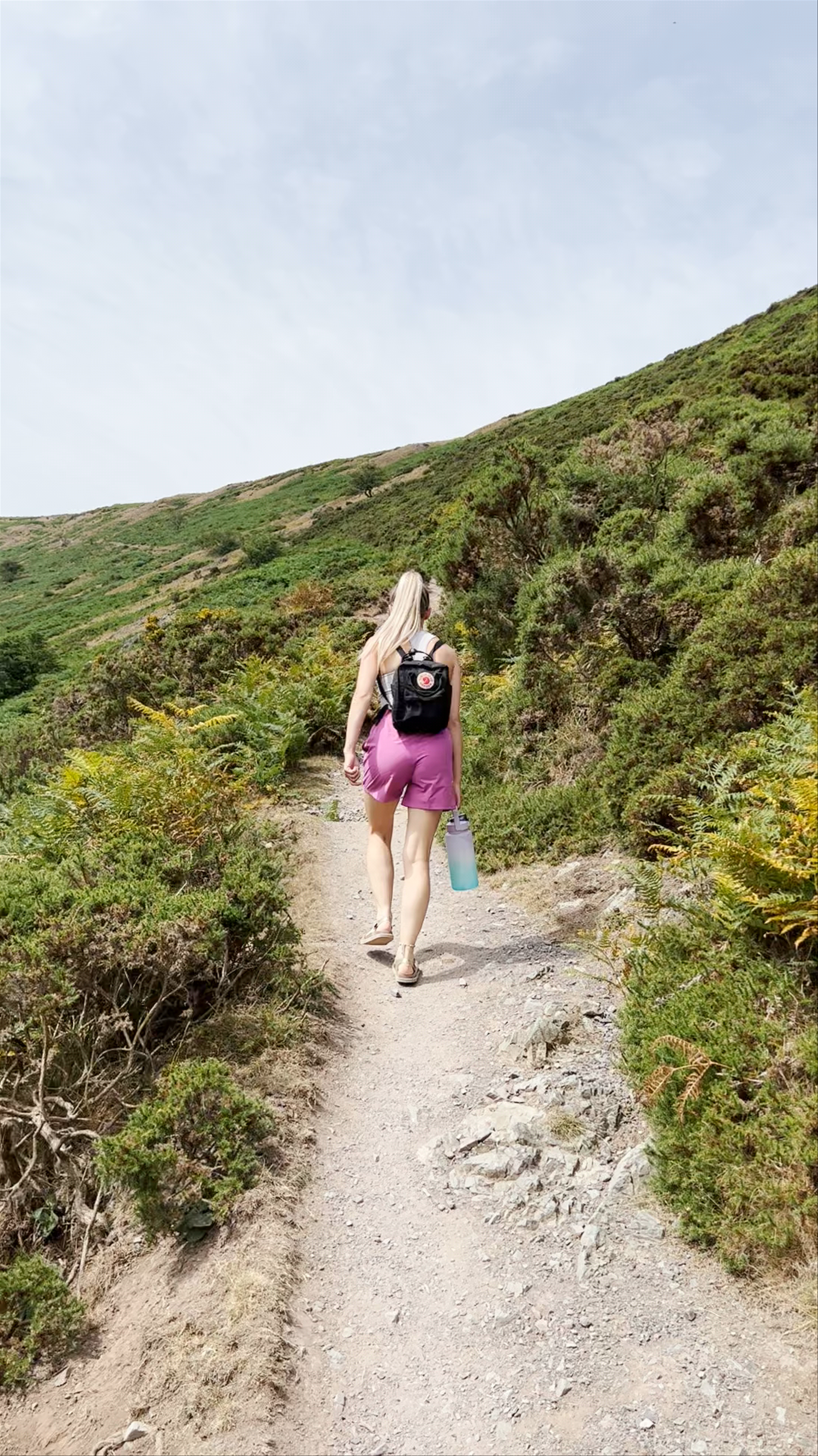 Long Mynd
