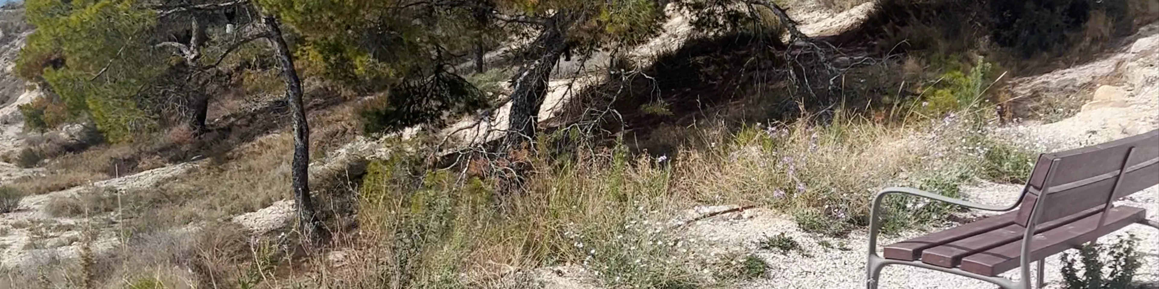 Santuari iber i romà de la Malladeta