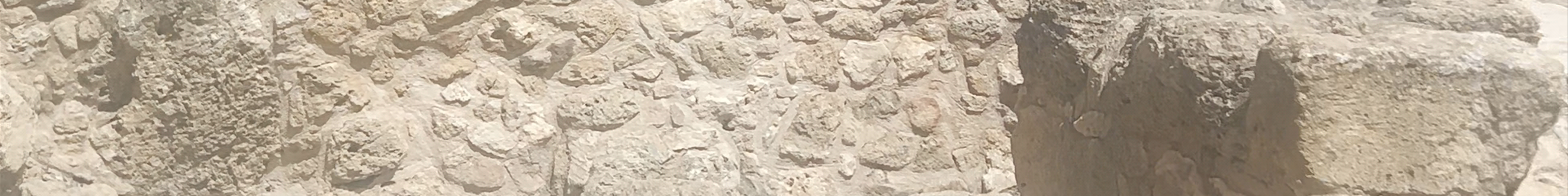 Tours & experiences in Cyprus