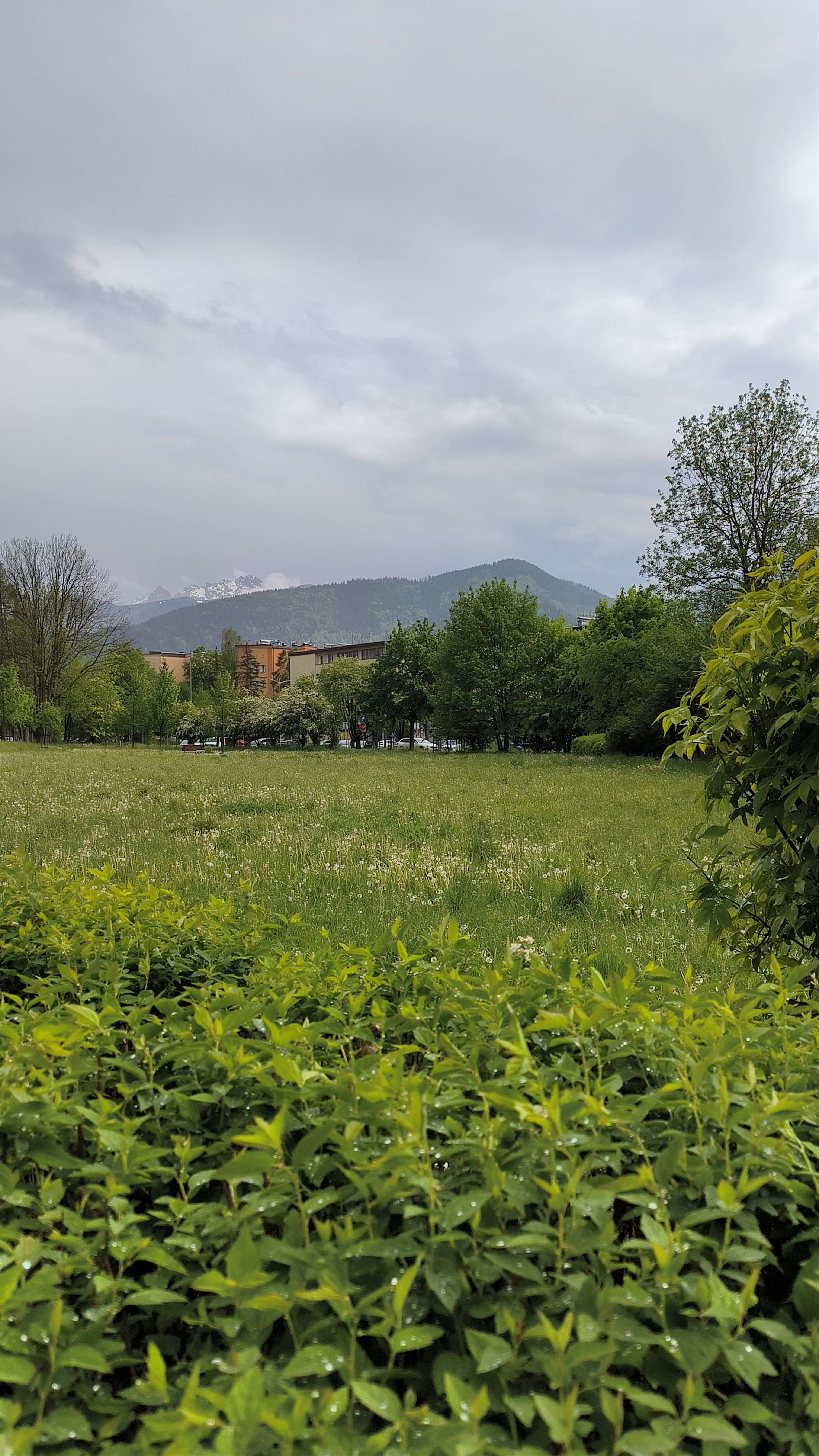 Tranquil Spring Greenscape at Dolna Rówień Krupowa, Zakopane