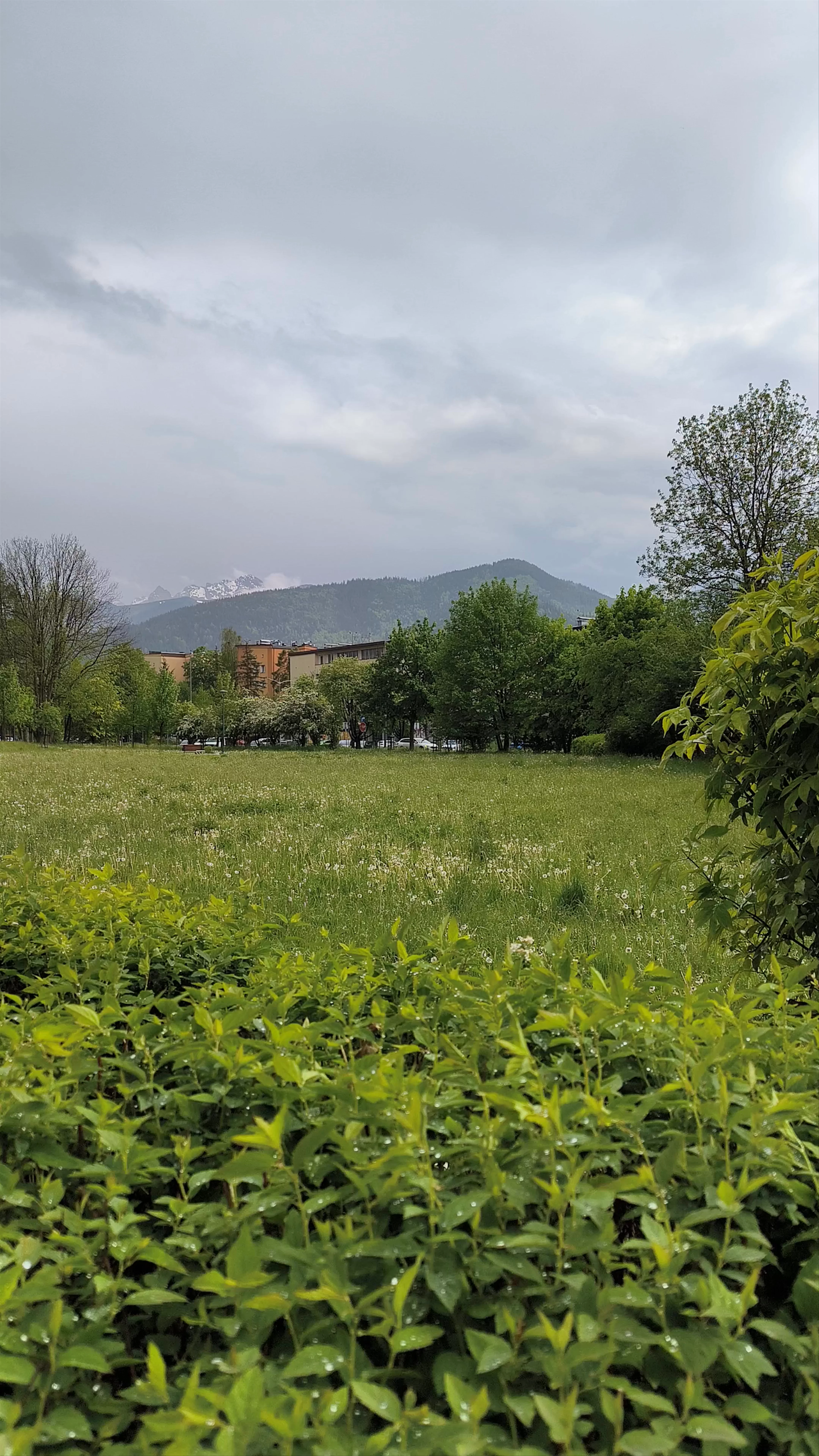 Dolna Rówień Krupowa, Tadeusza Kościuszki, Zakopane