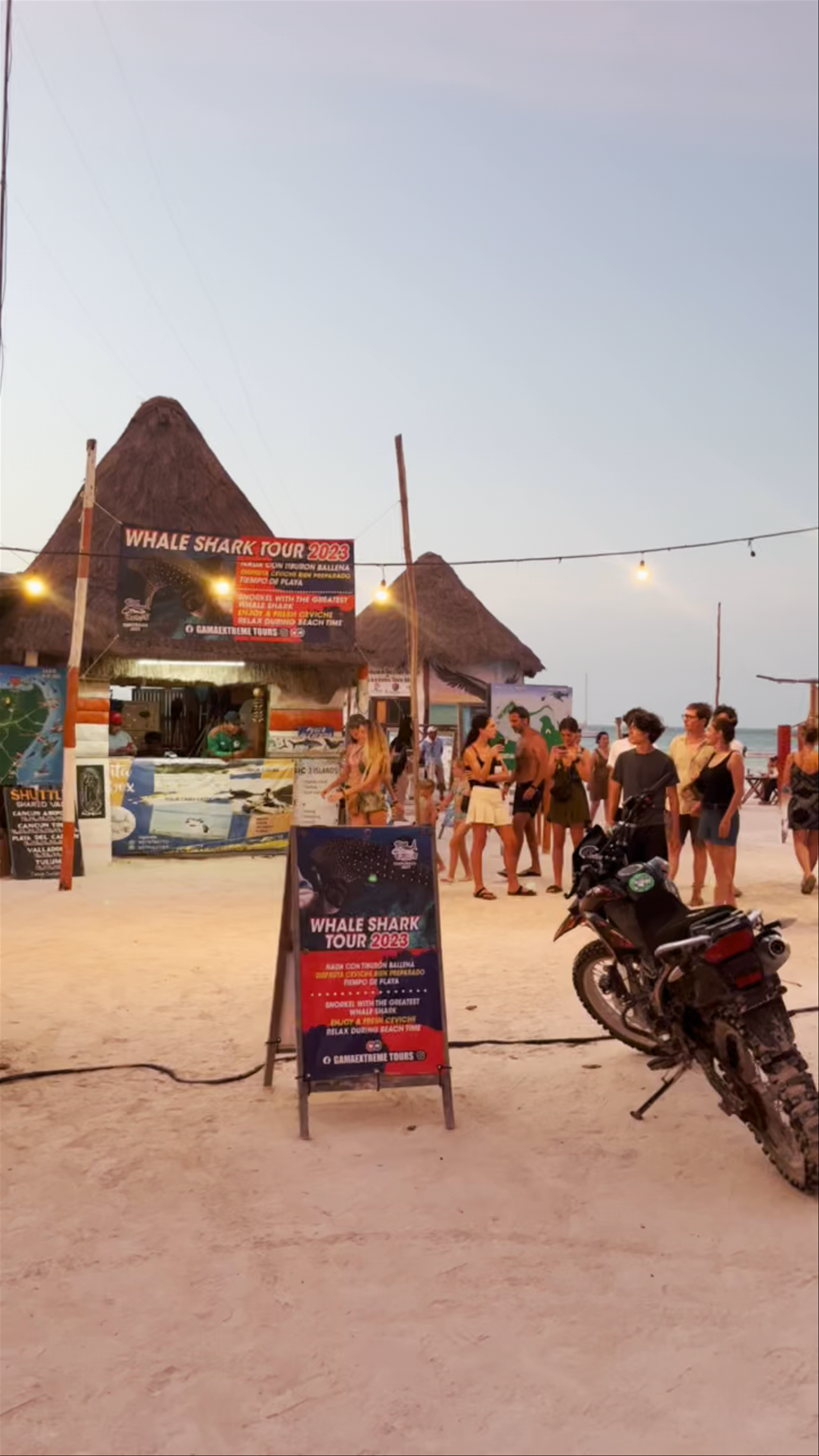 Whale Shark Tours and Beach Vibes at Holbox Island, Mexico
