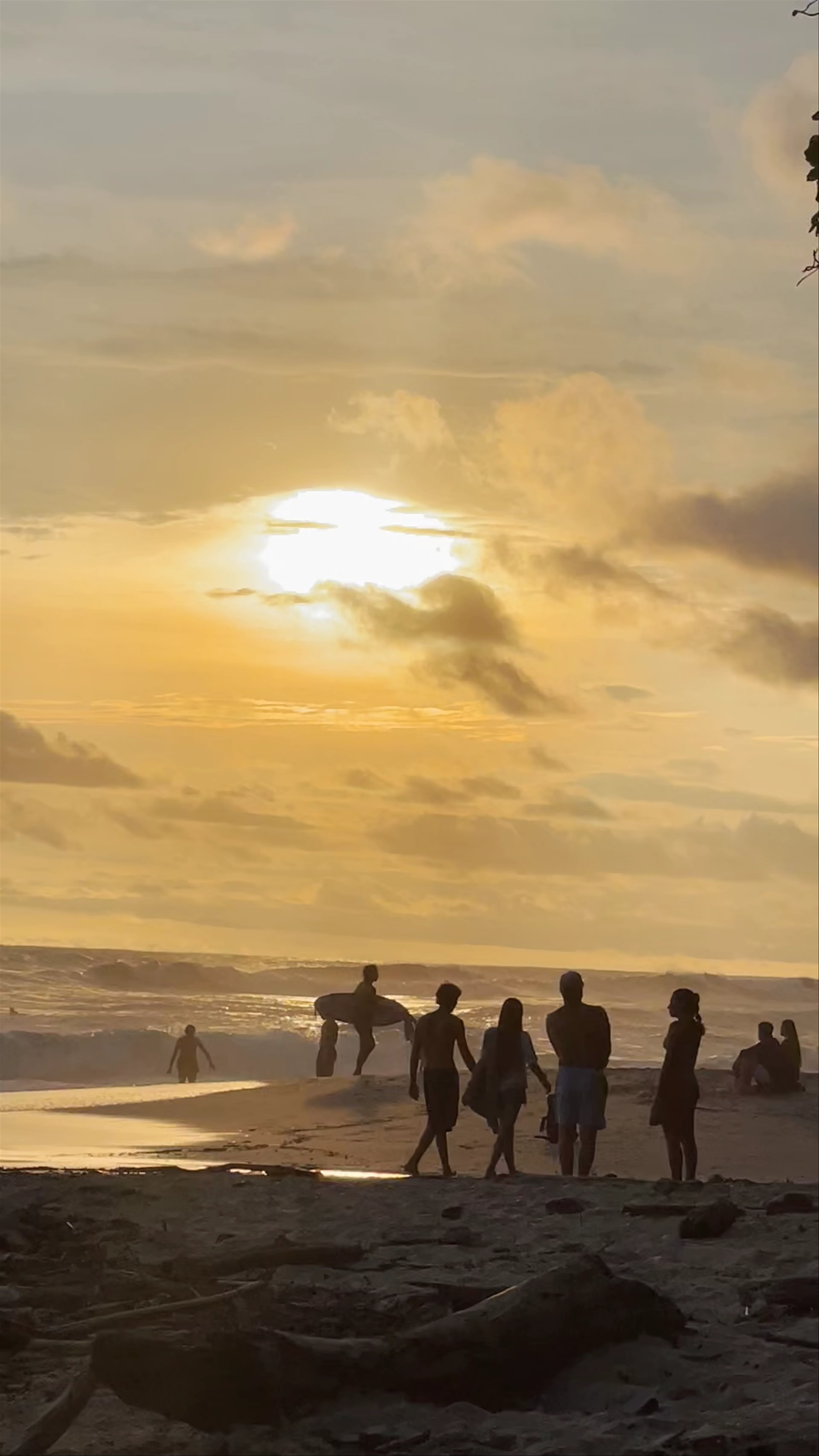 Zeneidas Surf Garden
