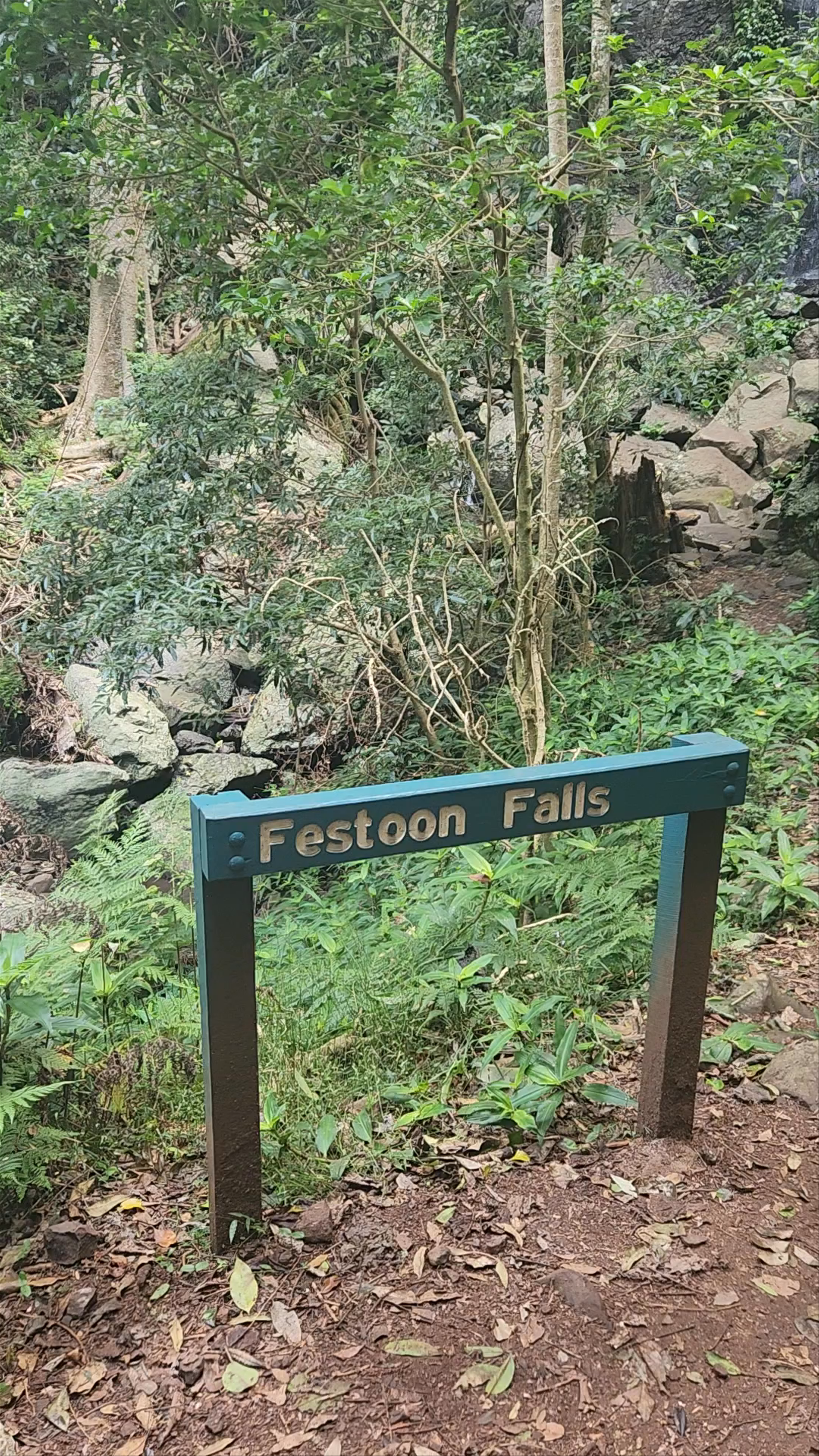 Festoon Falls