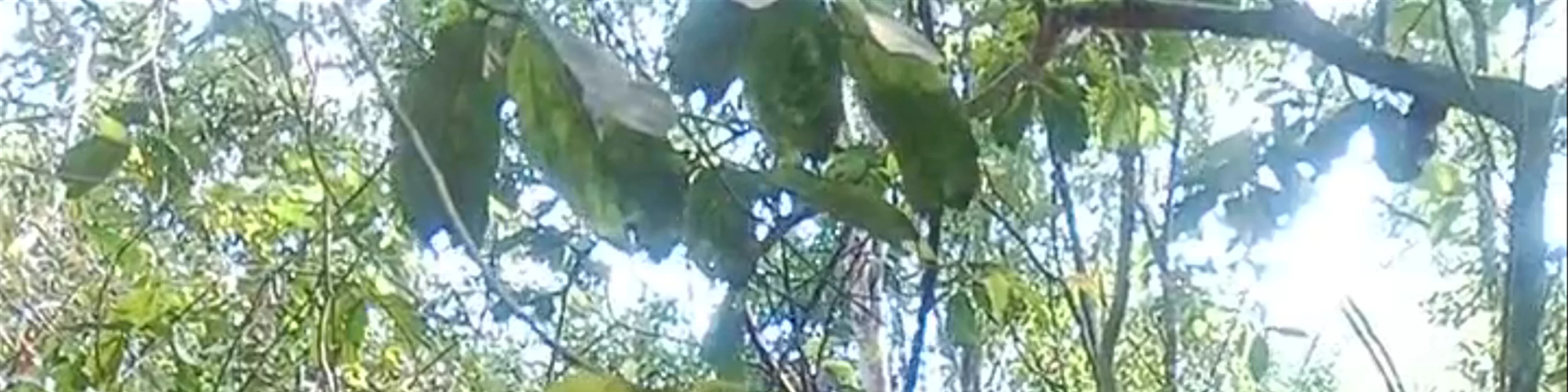 Cu Chi Tunnel