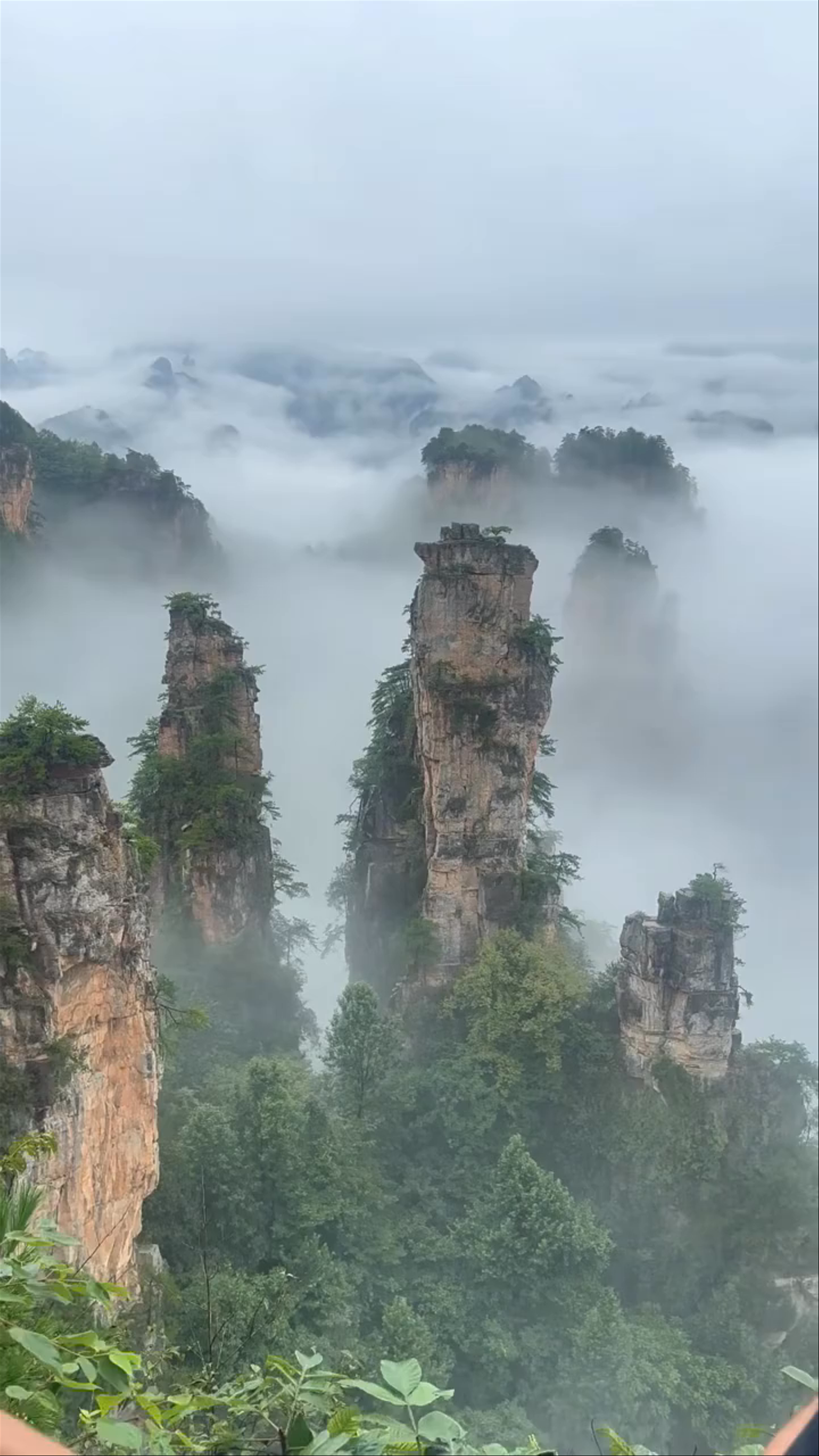 Zhangjiajie National Forest Park