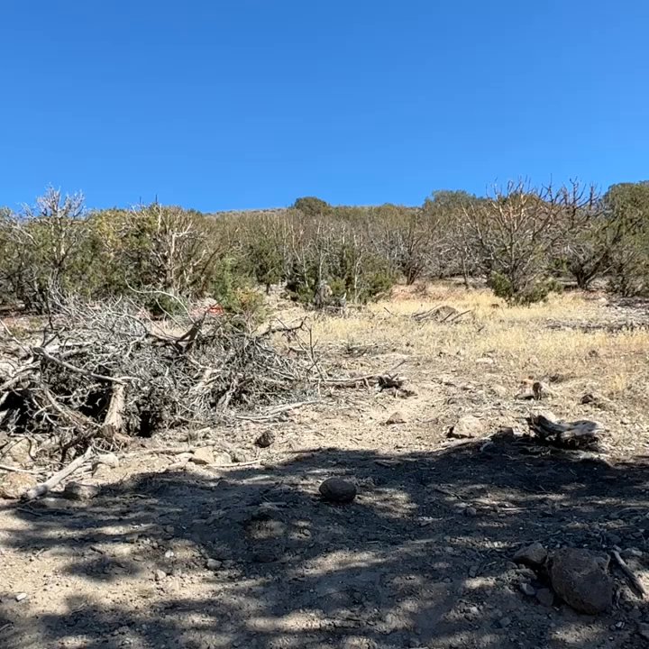 Wasatch Wing and Clay - Badabing - Wildlife Hunting Ranges Near Me - Cedar Fort, Utah