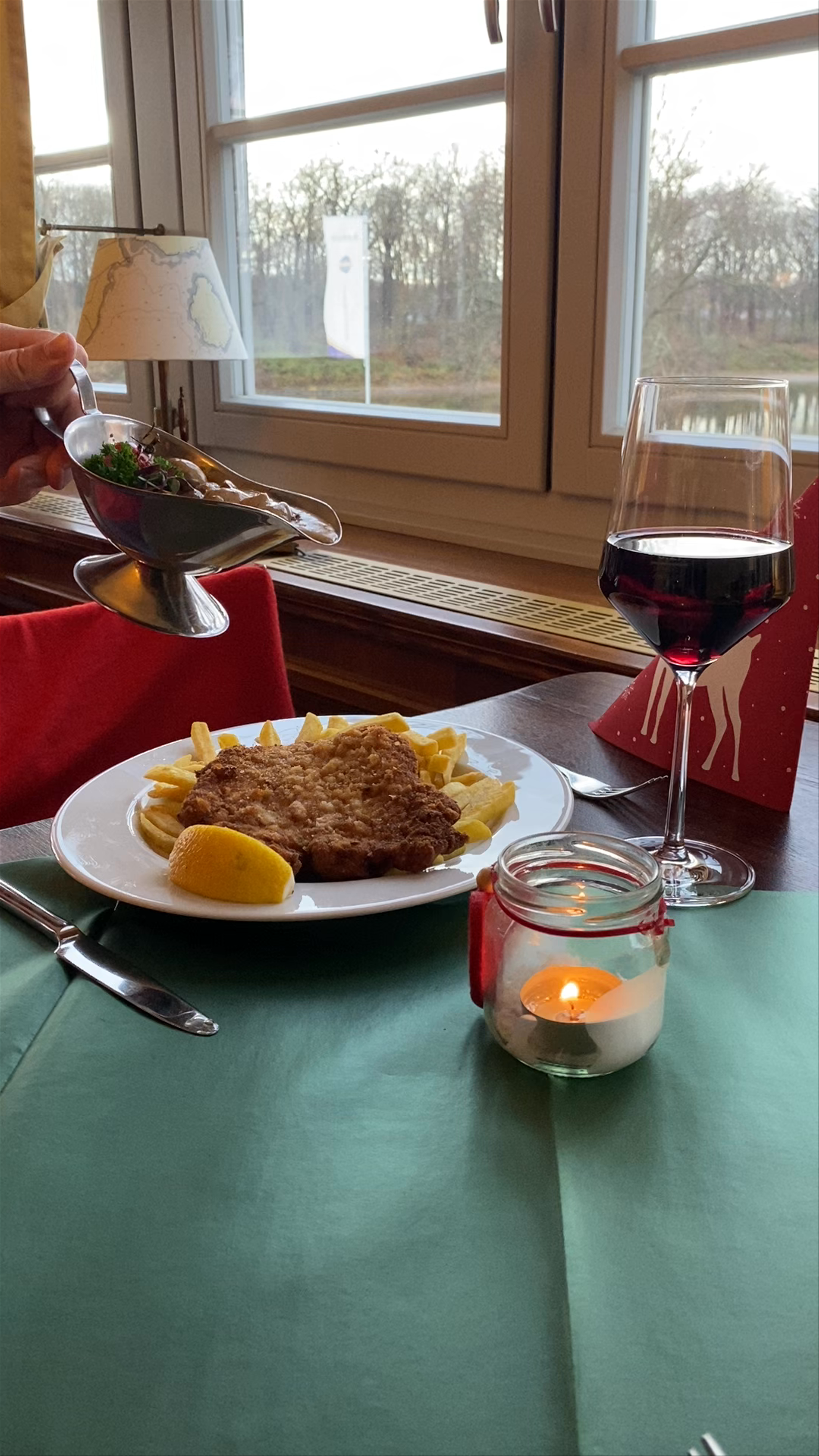 German Comfort Cuisine with a Scenic Riverside View at Pillnitzer Elbblick