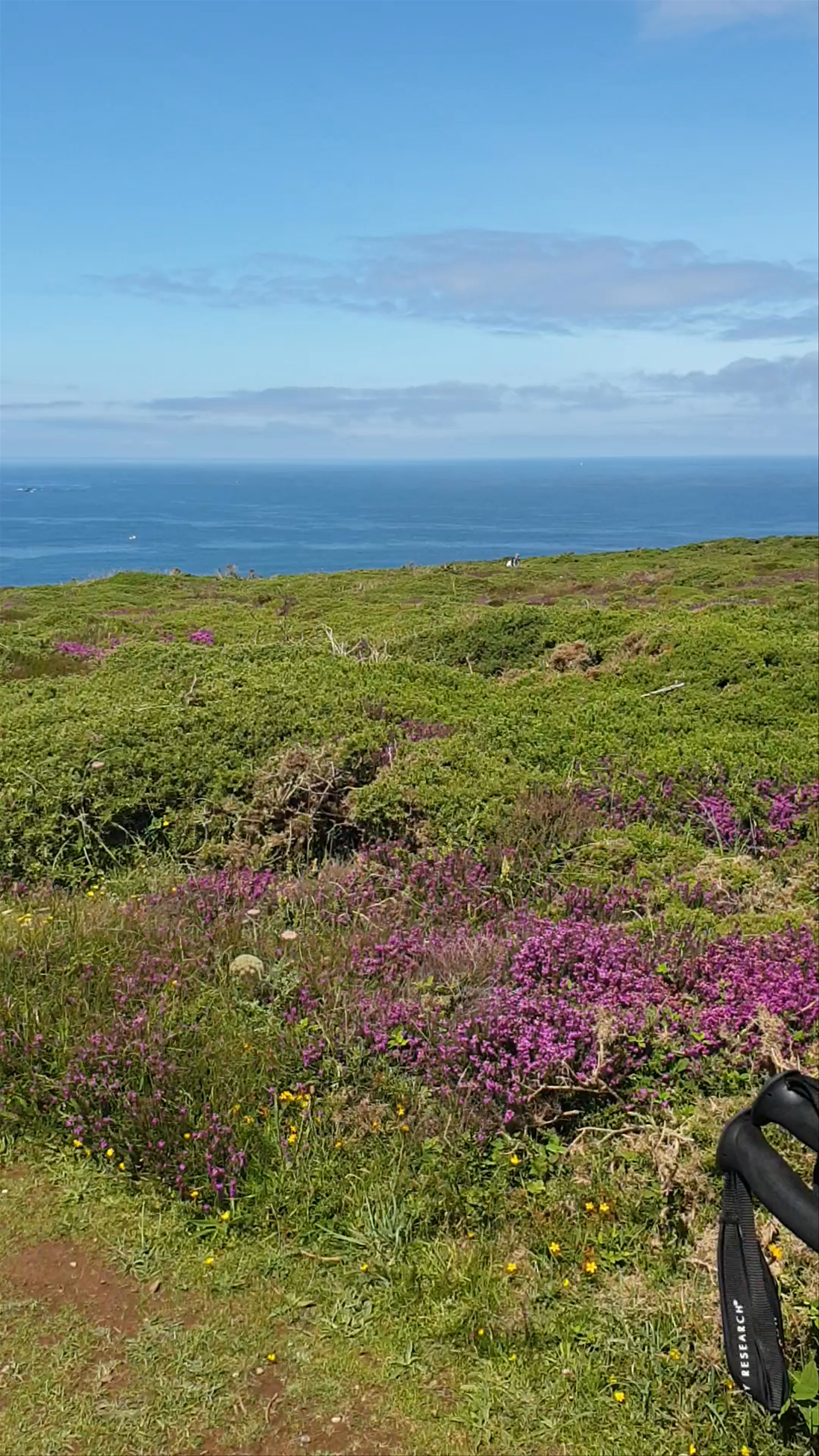 Godrevy Lighthouse Coastal Walk in Cornwall, United Kingdom