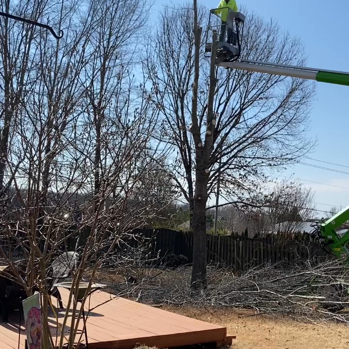 North Alabama Tree Sevice - Tree Services Near Me - Harvest, Alabama