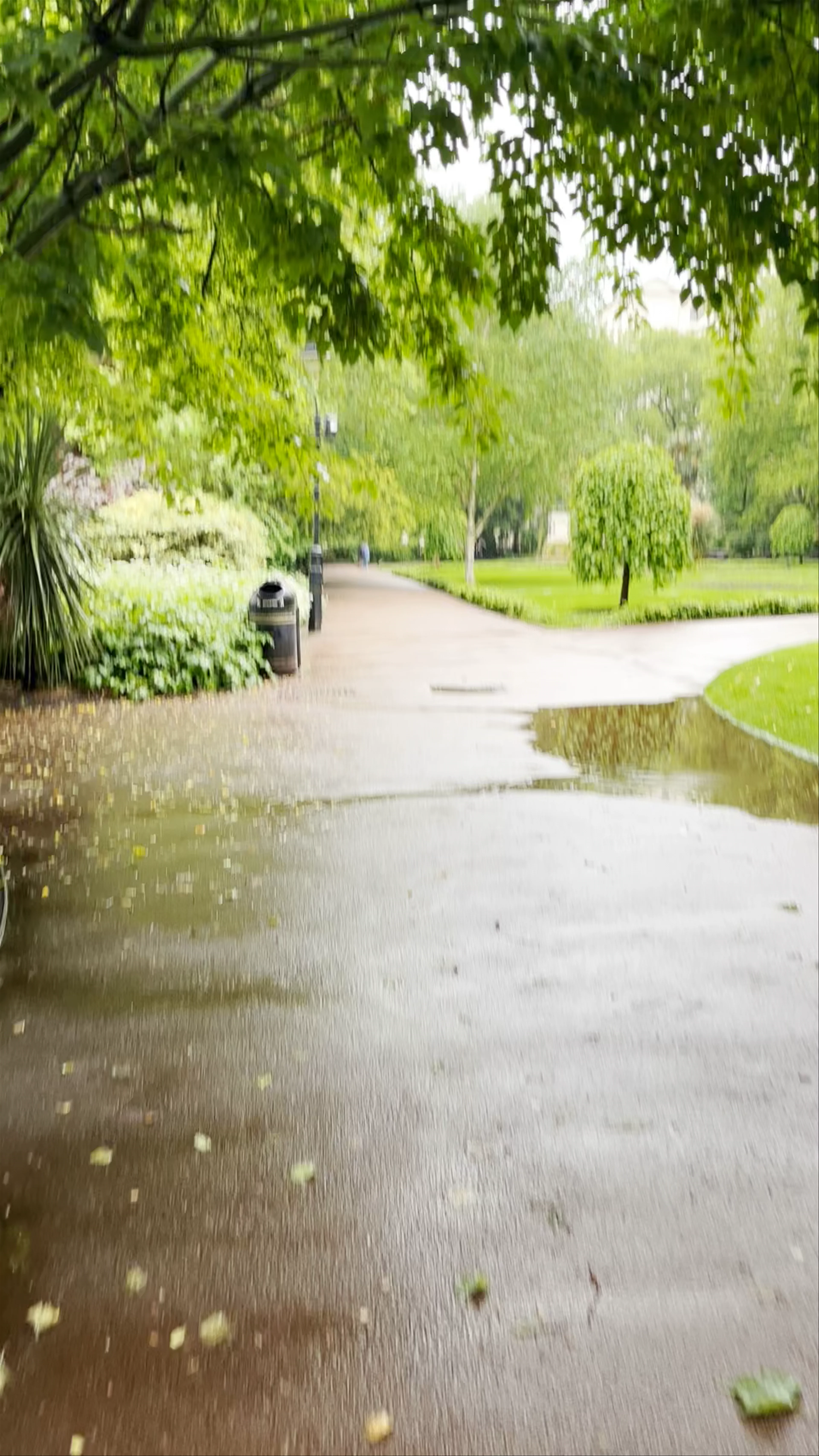Whitehall Gardens
