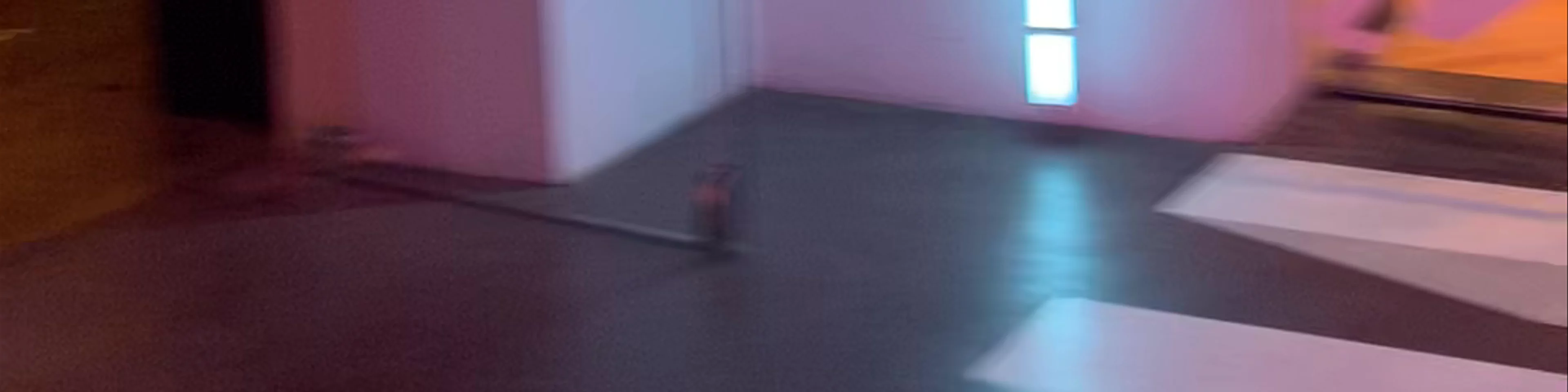 student hotel swing room 