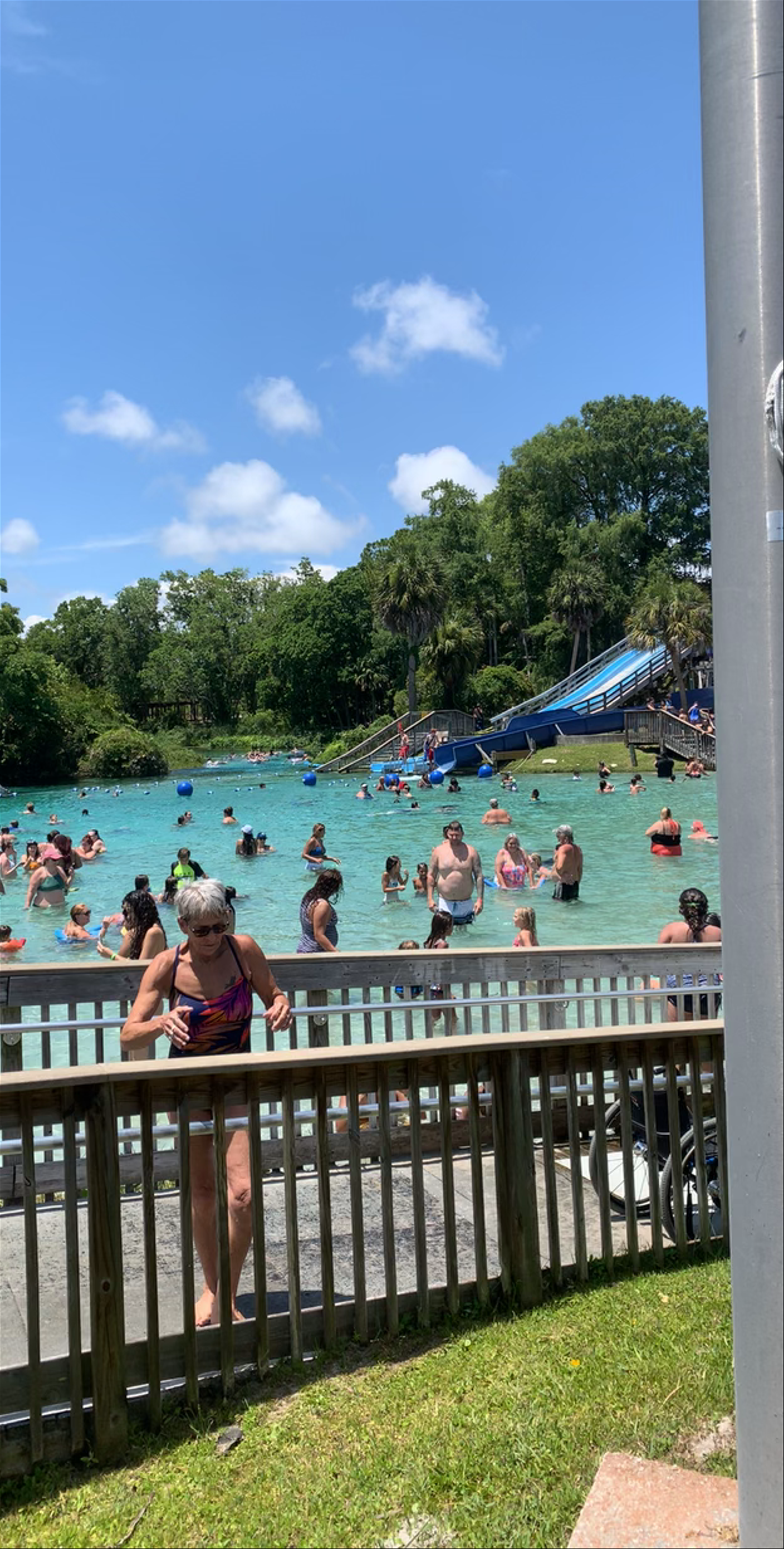 Weeki Wachee Springs: Family Fun and Natural Springs in Florida