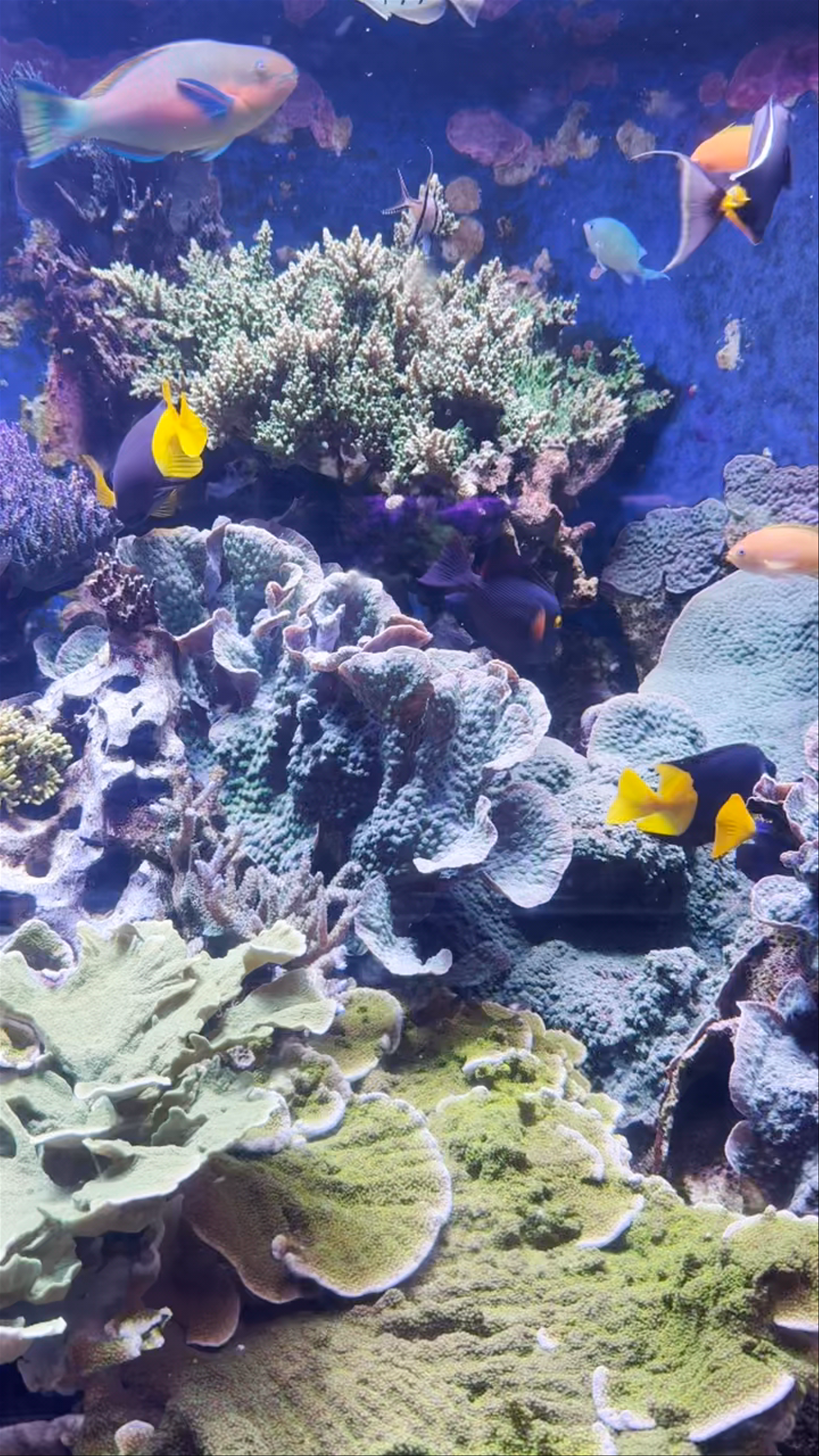 Aquazoo Löbbecke Museum Dusseldorf