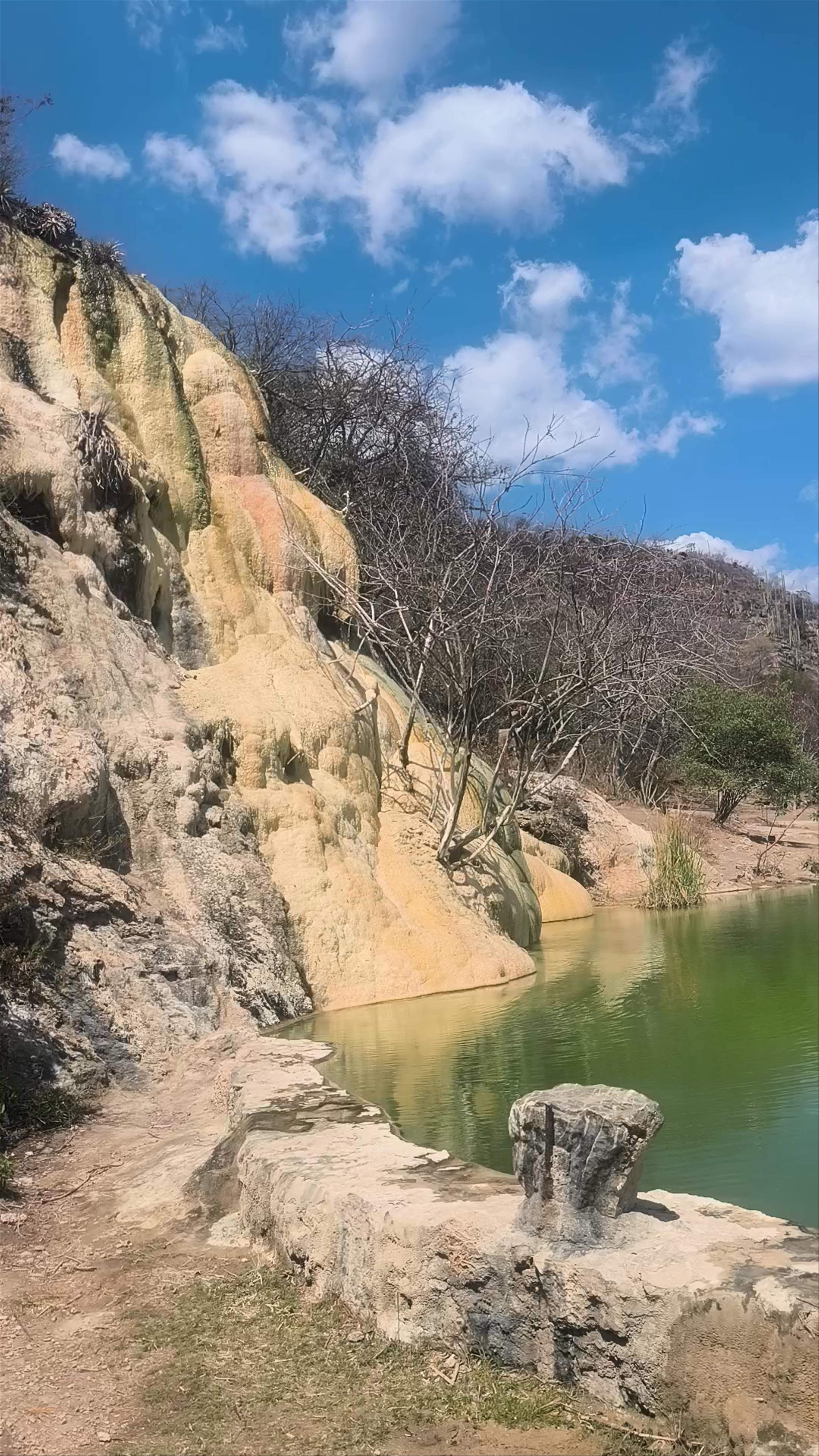 Mirador Oeste: Serene Natural Beauty in San Lorenzo Albarradas, Oaxaca