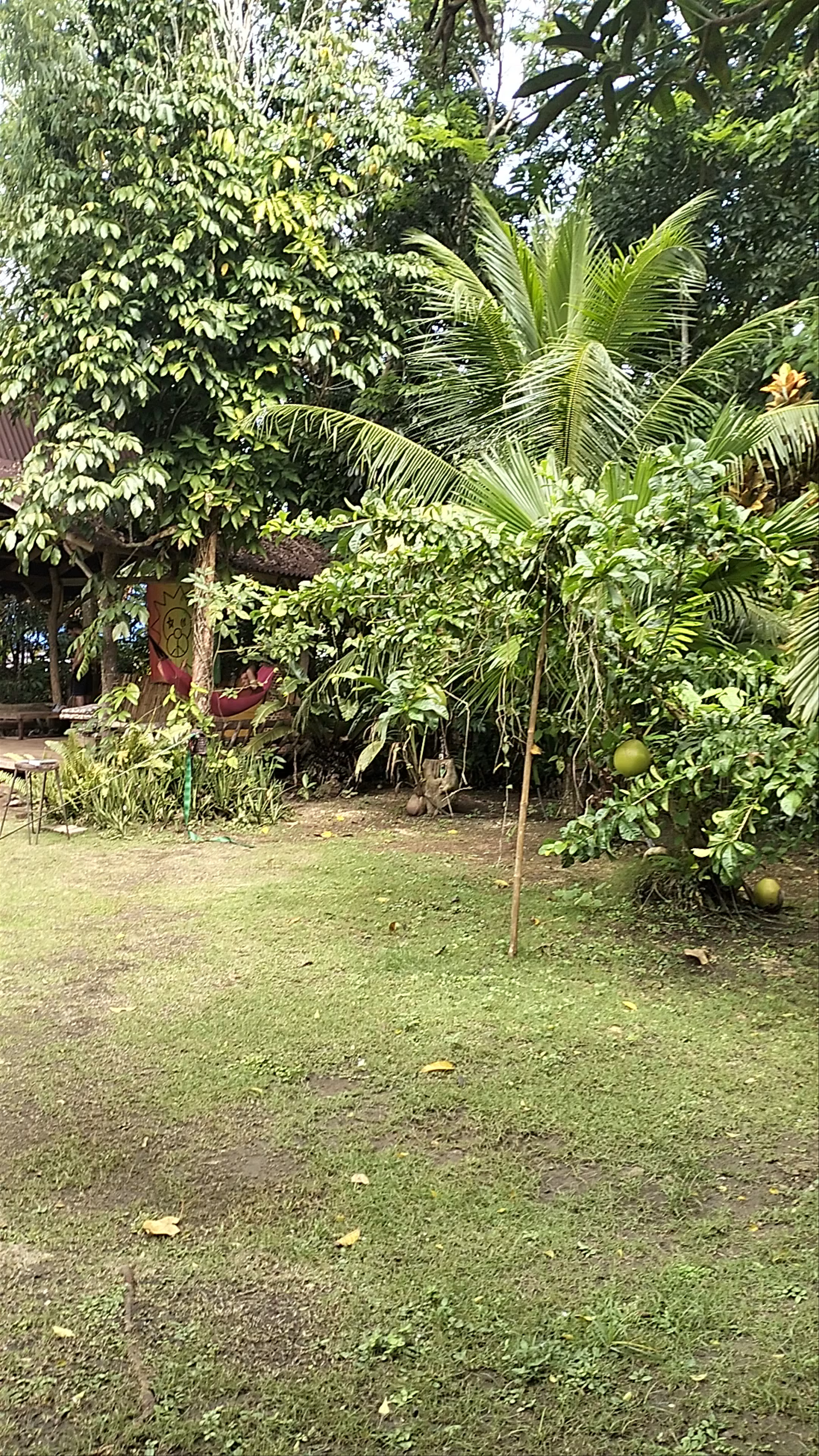 Peaceland in Panglao, Bohol: A Tranquil Tropical Escape