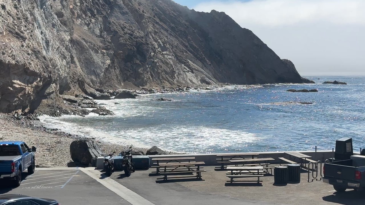 Cove Coffee - Such a wonderful view from this little coffee shop. - Coffee & Tea Near Me - Point Arena, California