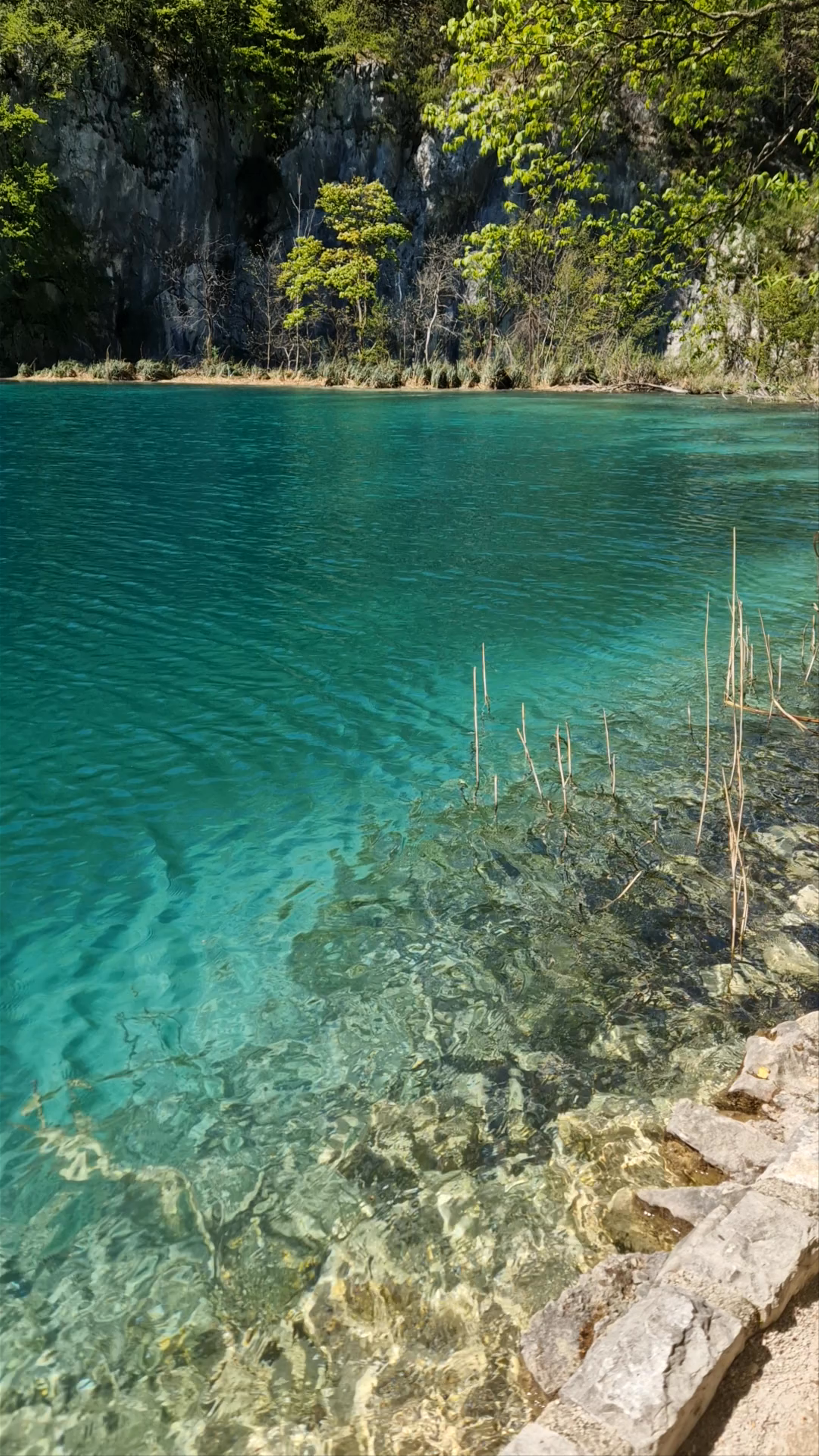 Plitvice Lakes National Park: Crystal Clear Waters and Lush Greenery