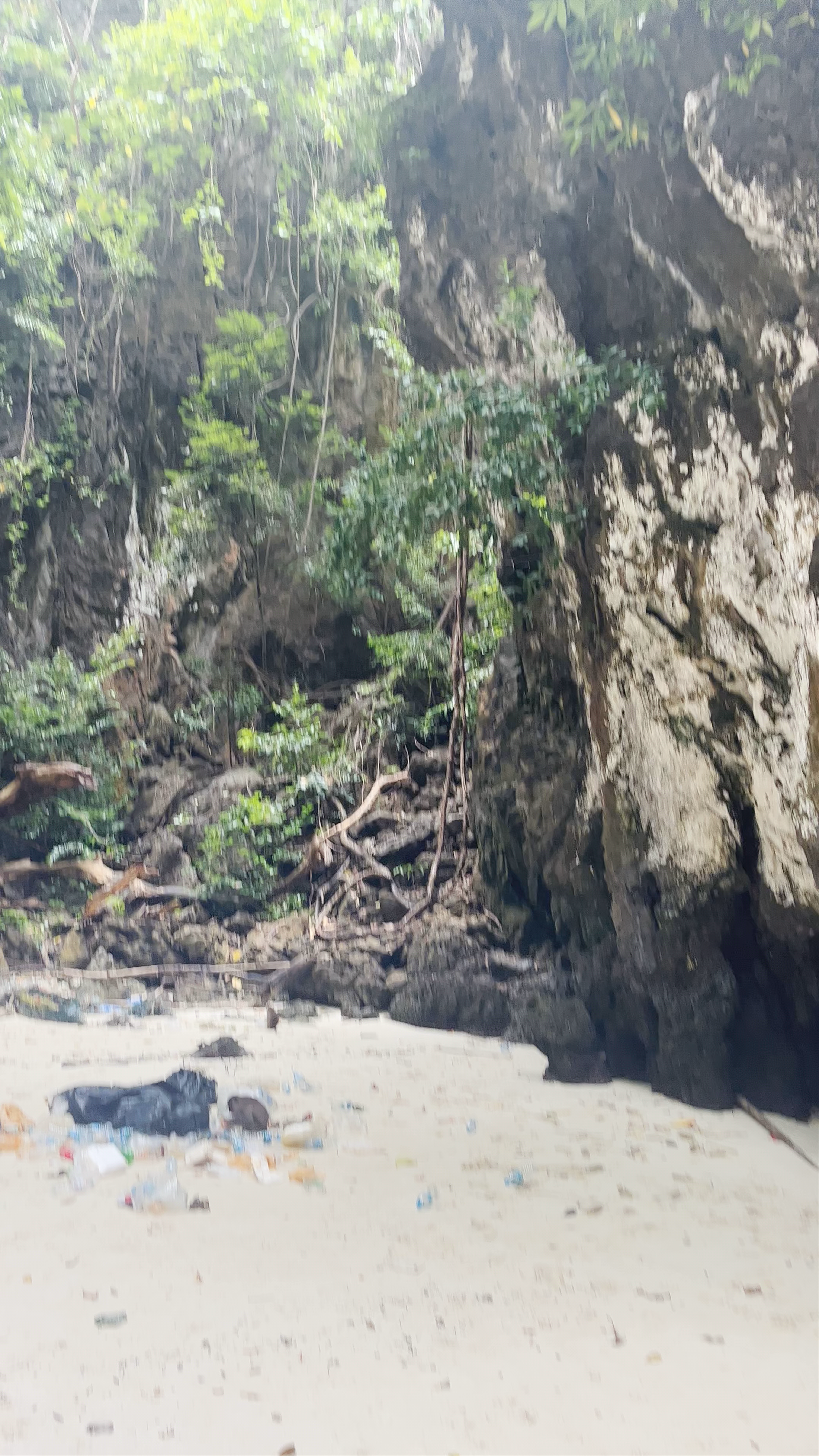 Monkey Bay Adventure: Remote Tropical Escape in Ao Nang, Krabi