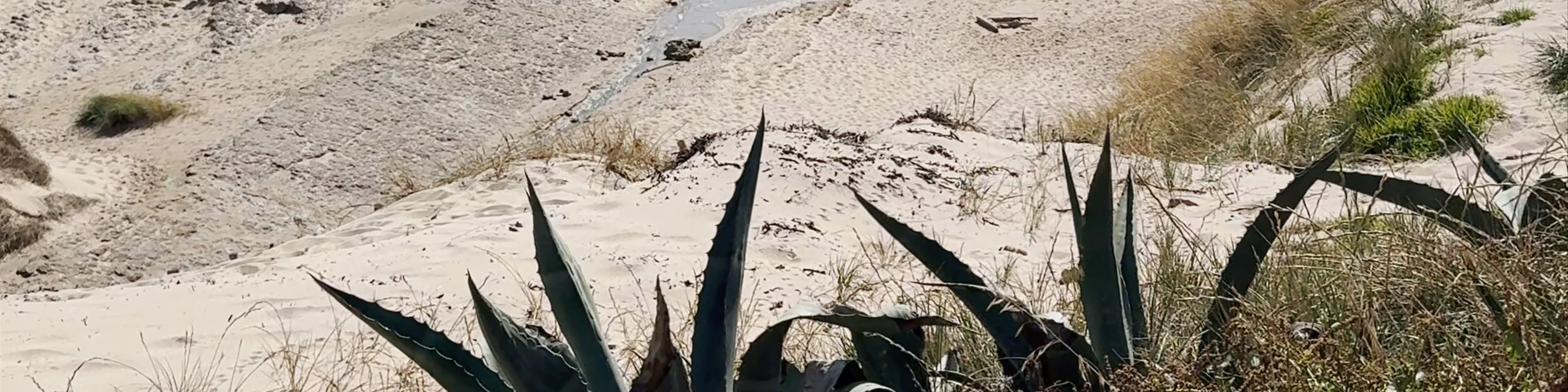 Praia do Guincho