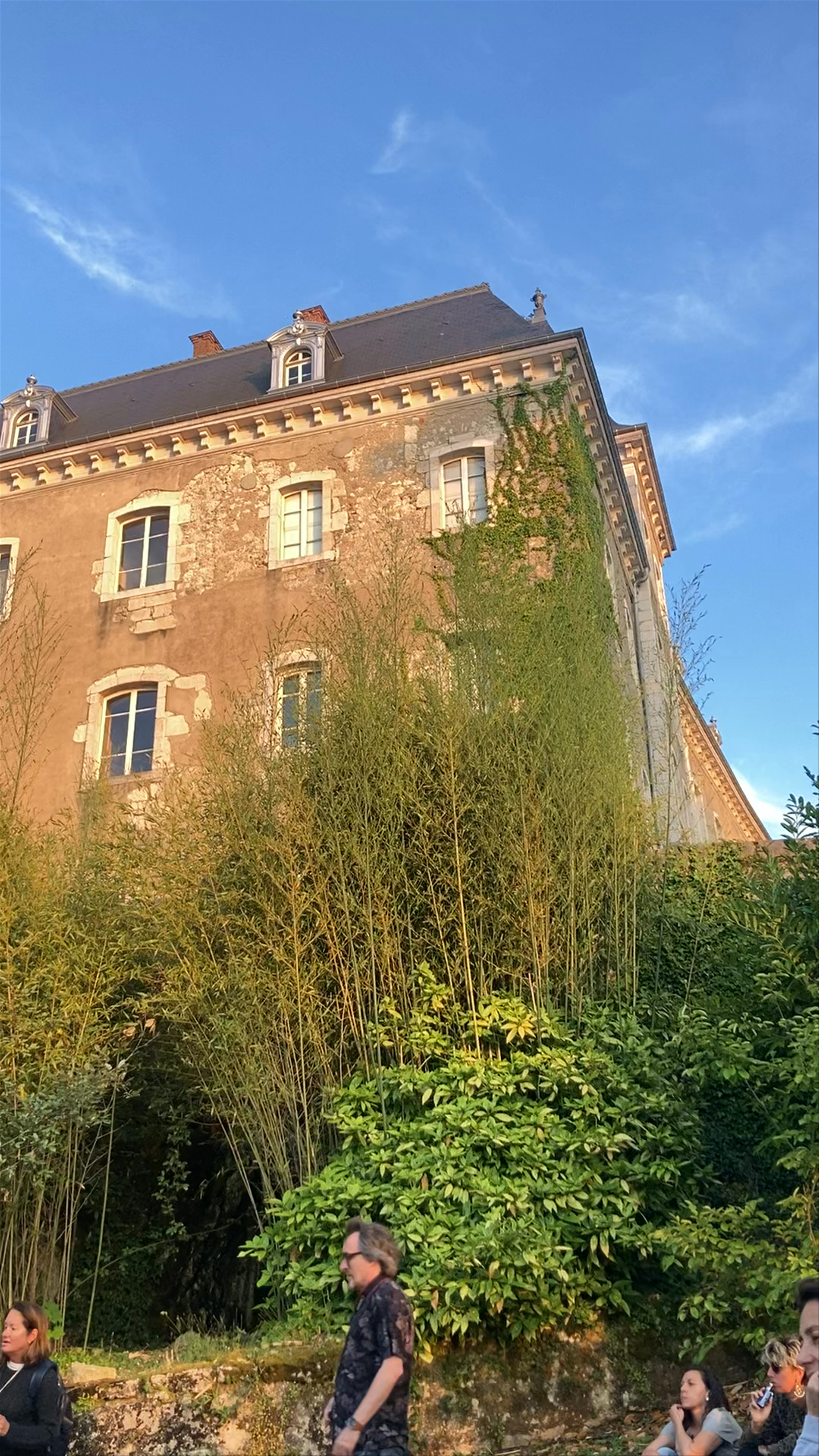 Château de Duingt