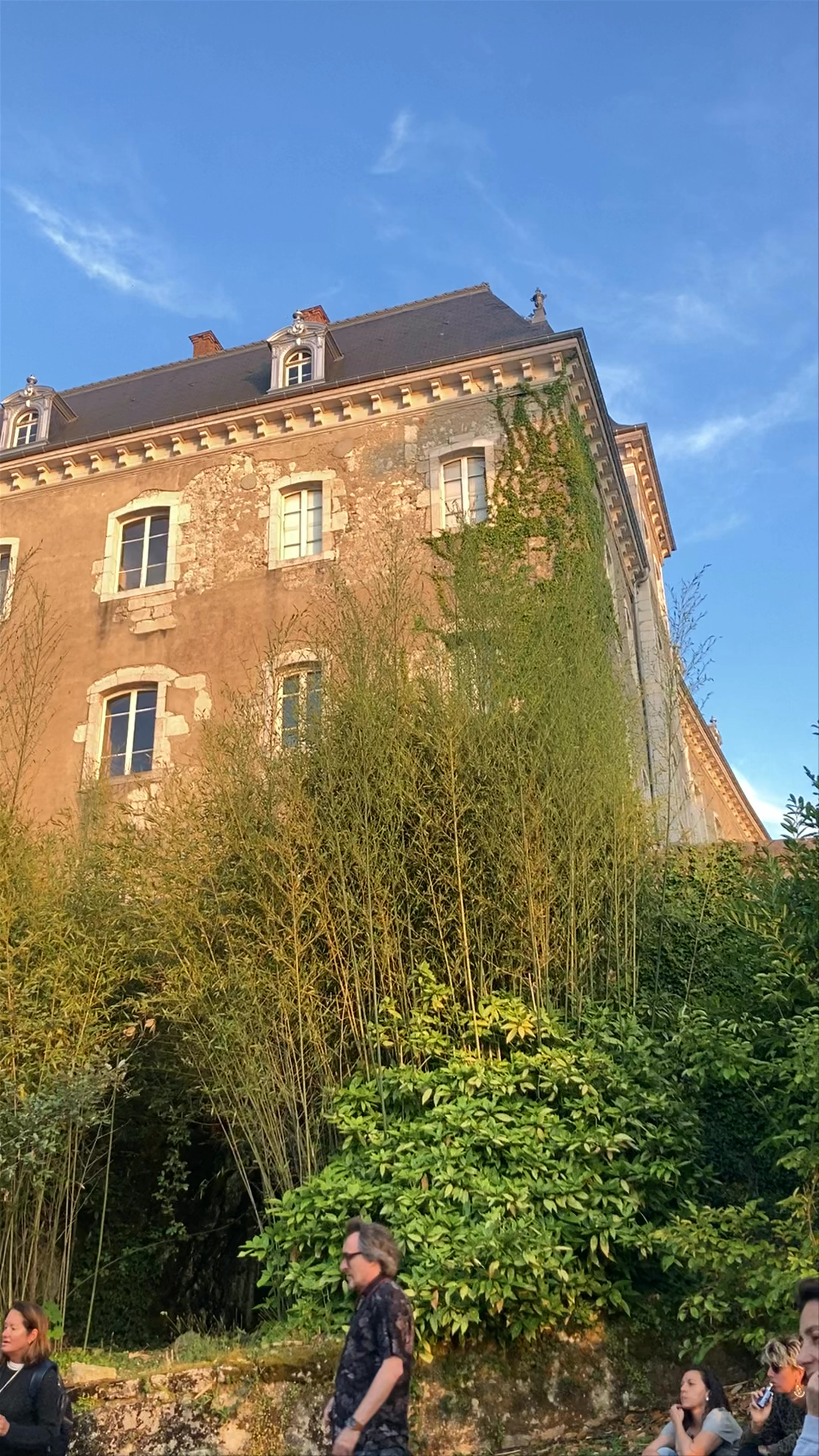 Château de Duingt