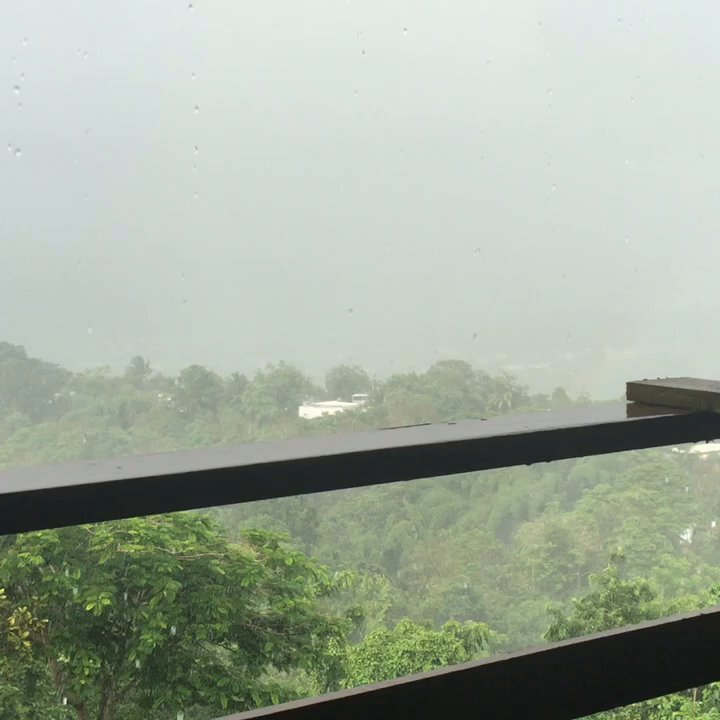Casaju - Puerto Rican Near Me - Juncos, Puerto Rico