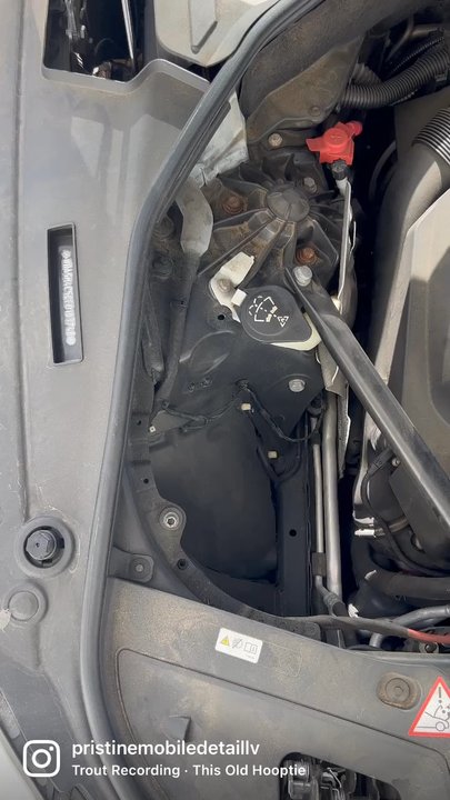 Pristine Mobile Detail - Engine bay detail - Auto Detailing Near Me