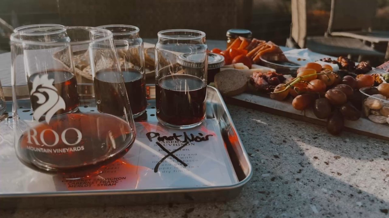Roo Mountain Vineyards - Charcuterie board and red wine flight on their nest patio during sunset - Wineries Near Me - Ellijay, Georgia