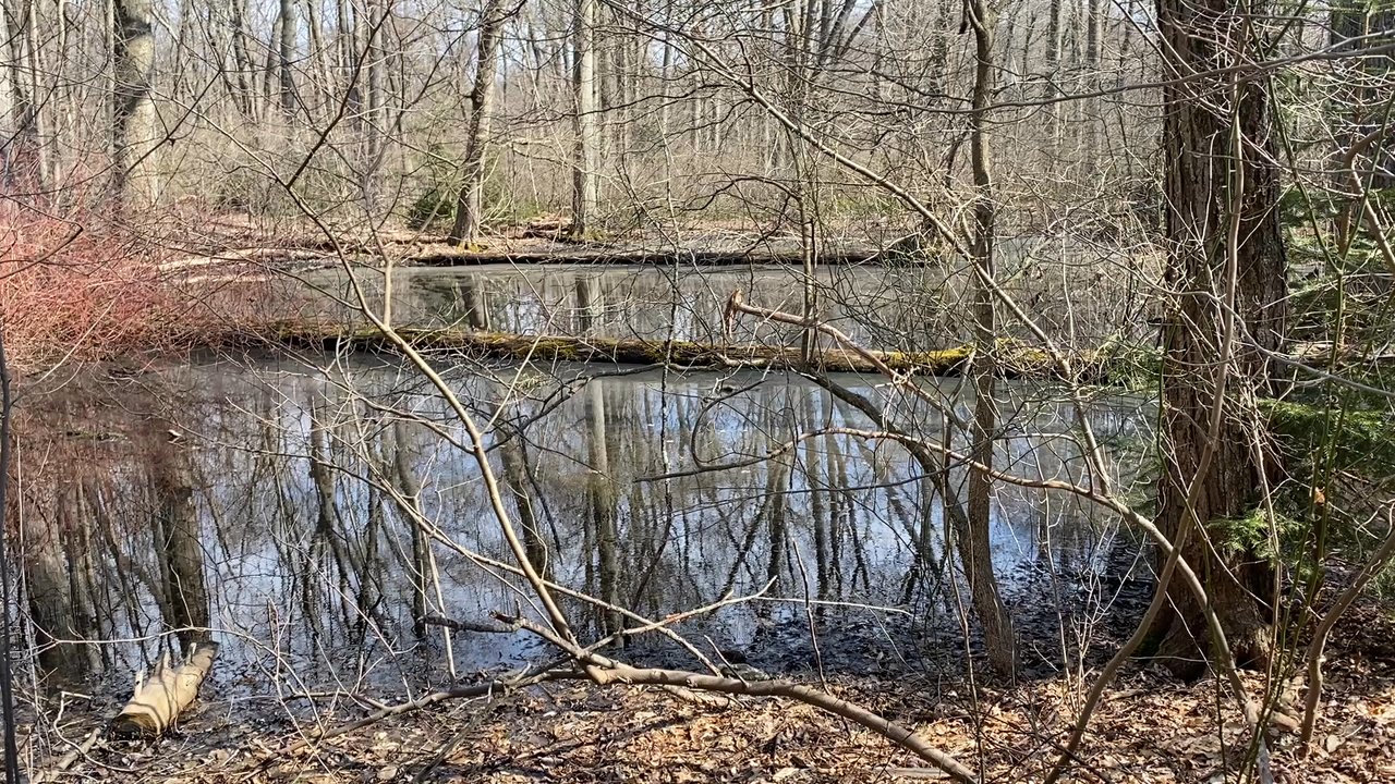 Muttontown Preserve - Parks Near Me - Muttontown, New York