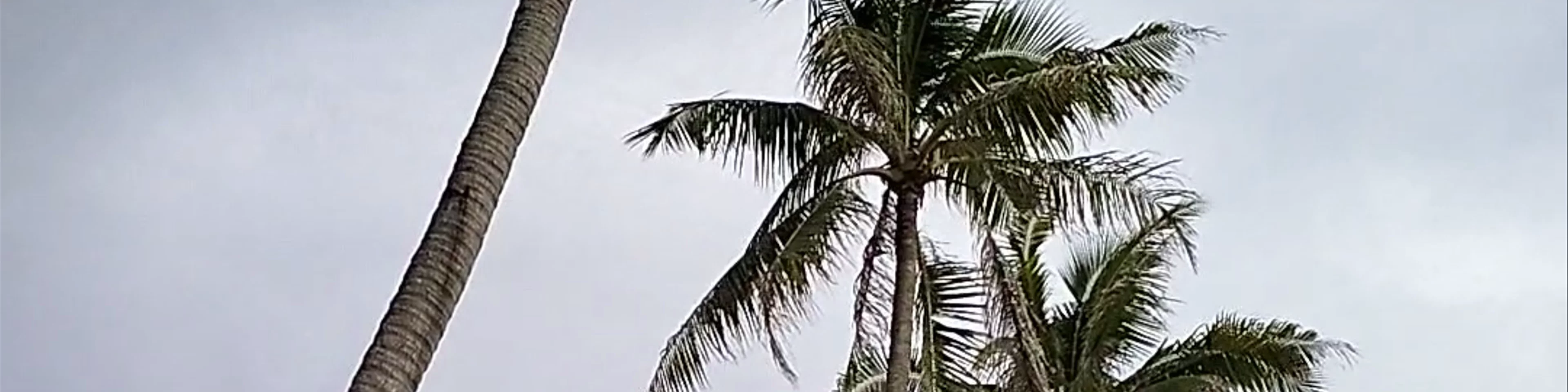 MeJu Beach