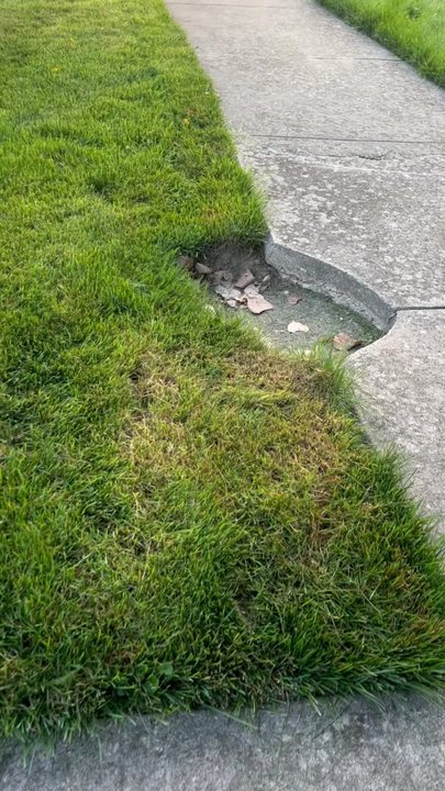 Pristine Property Management - They are disrespectful - Landscaping Near Me
