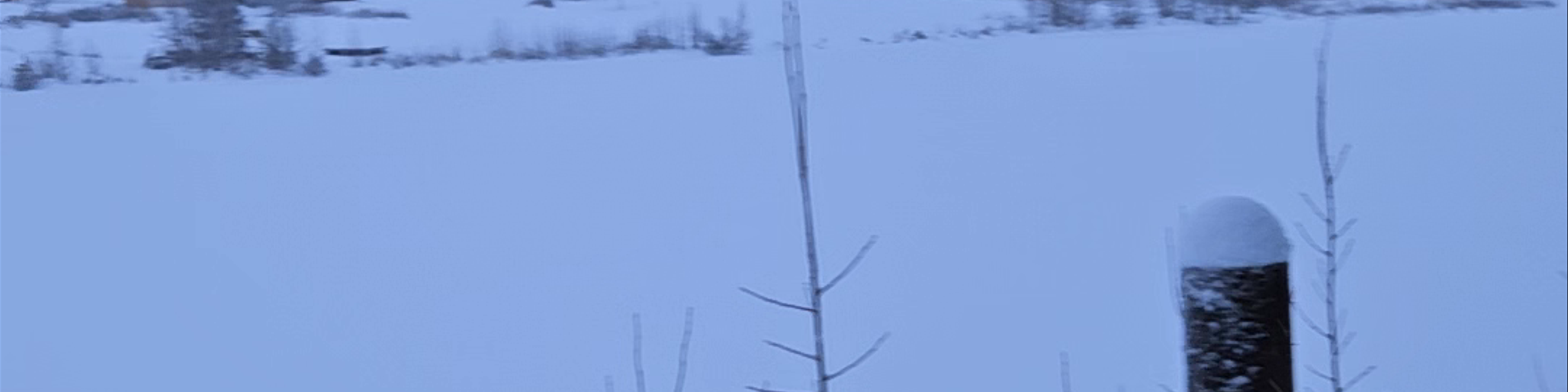 Sodankylä