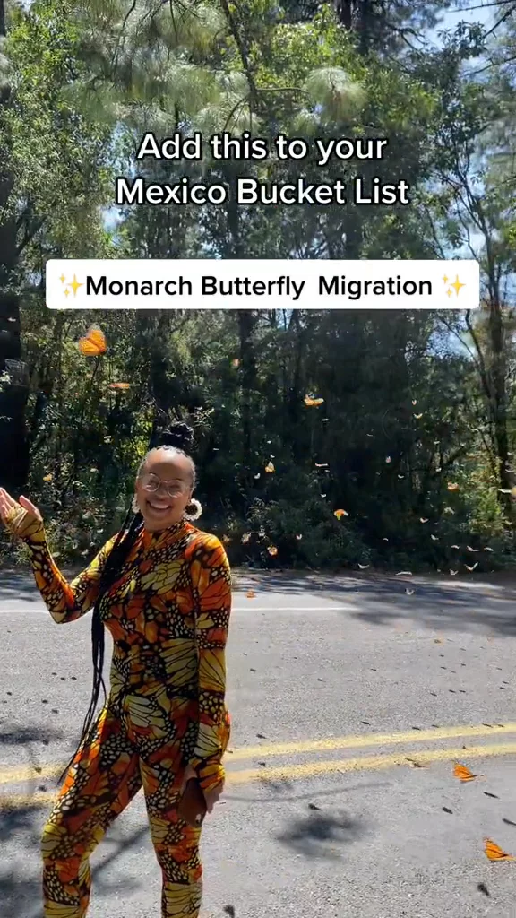 Unique Experiences - Social Media