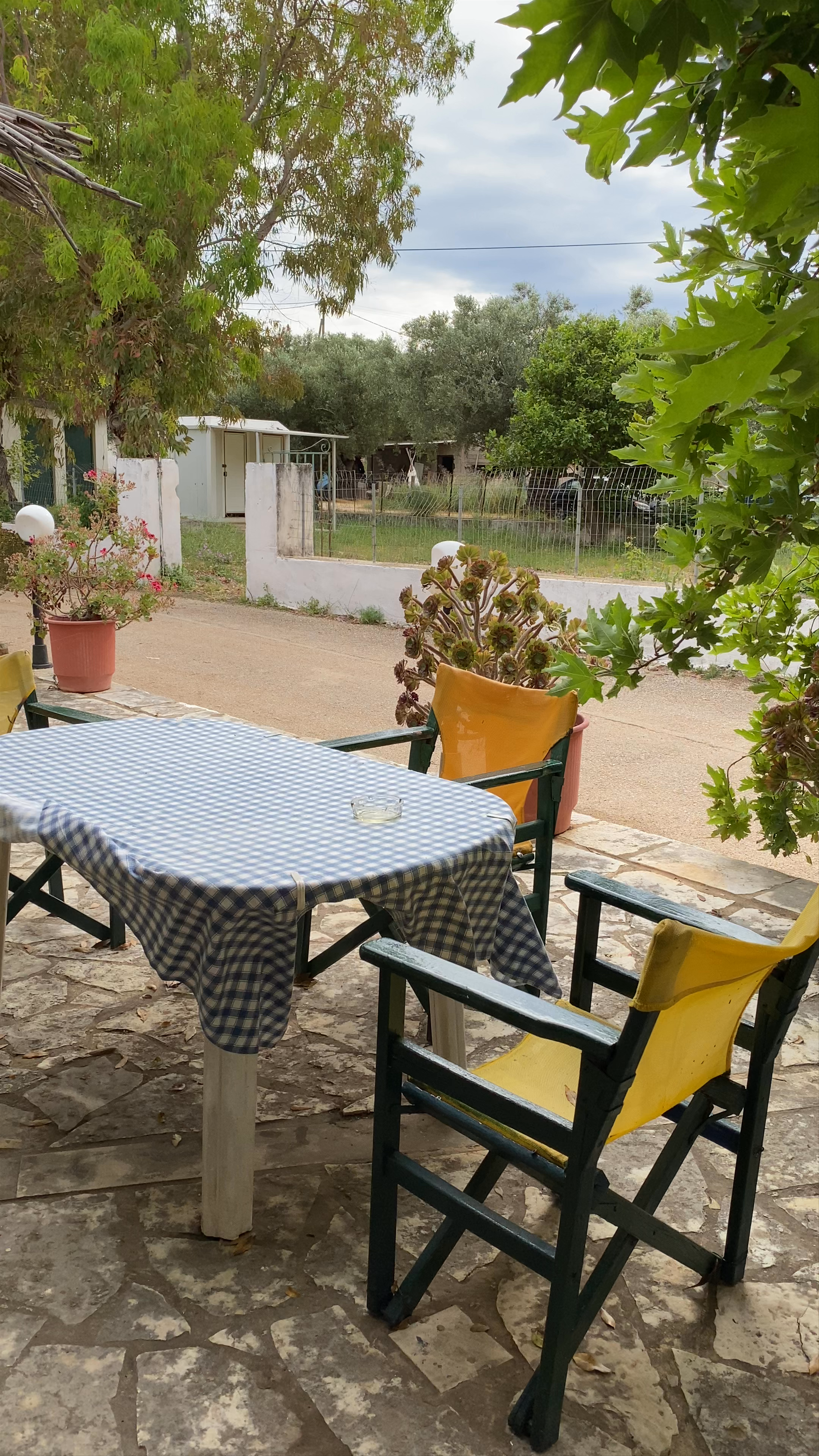 Taverna Dafnes