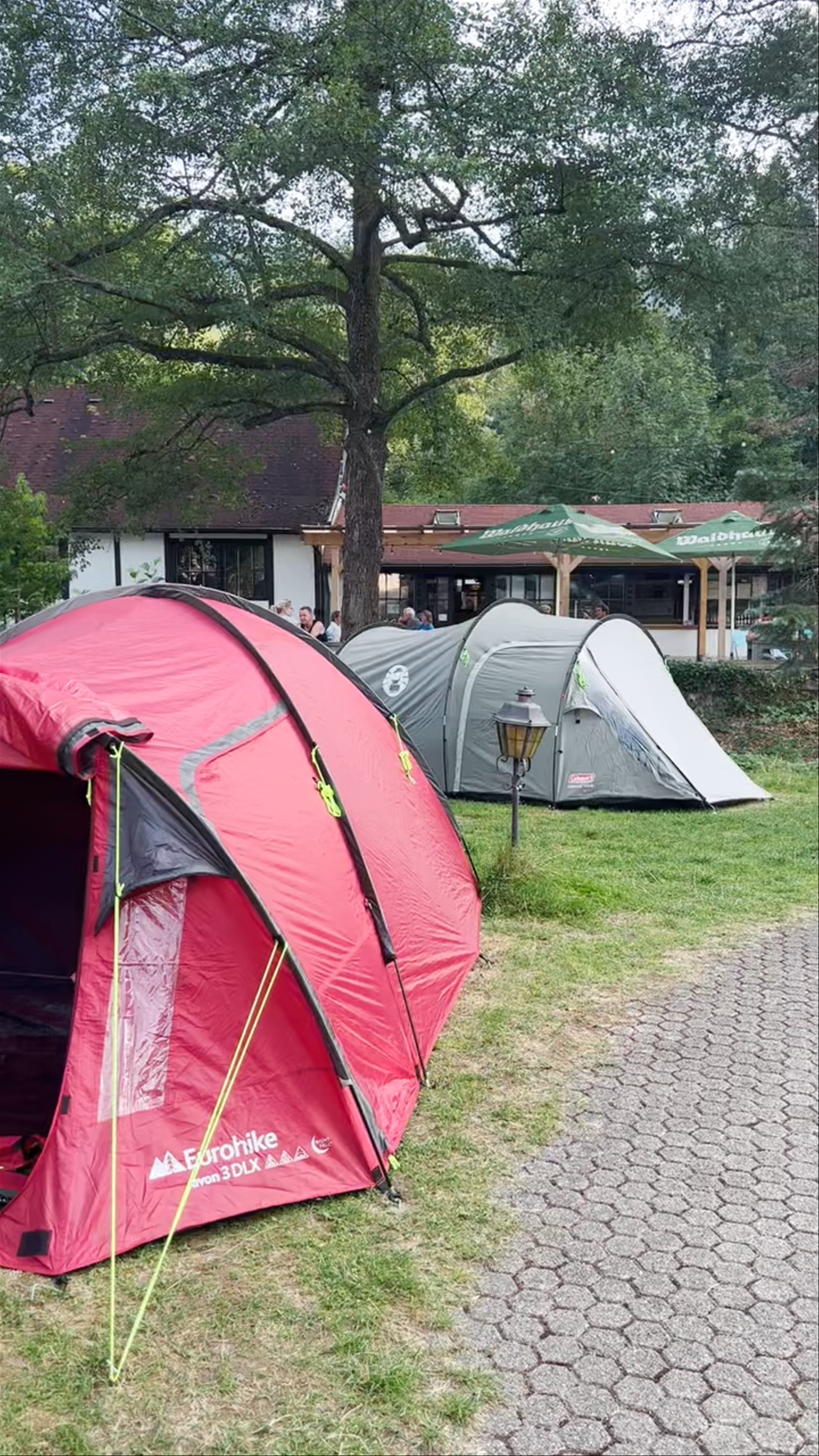 Busses Camping am Möslepark in Freiburg