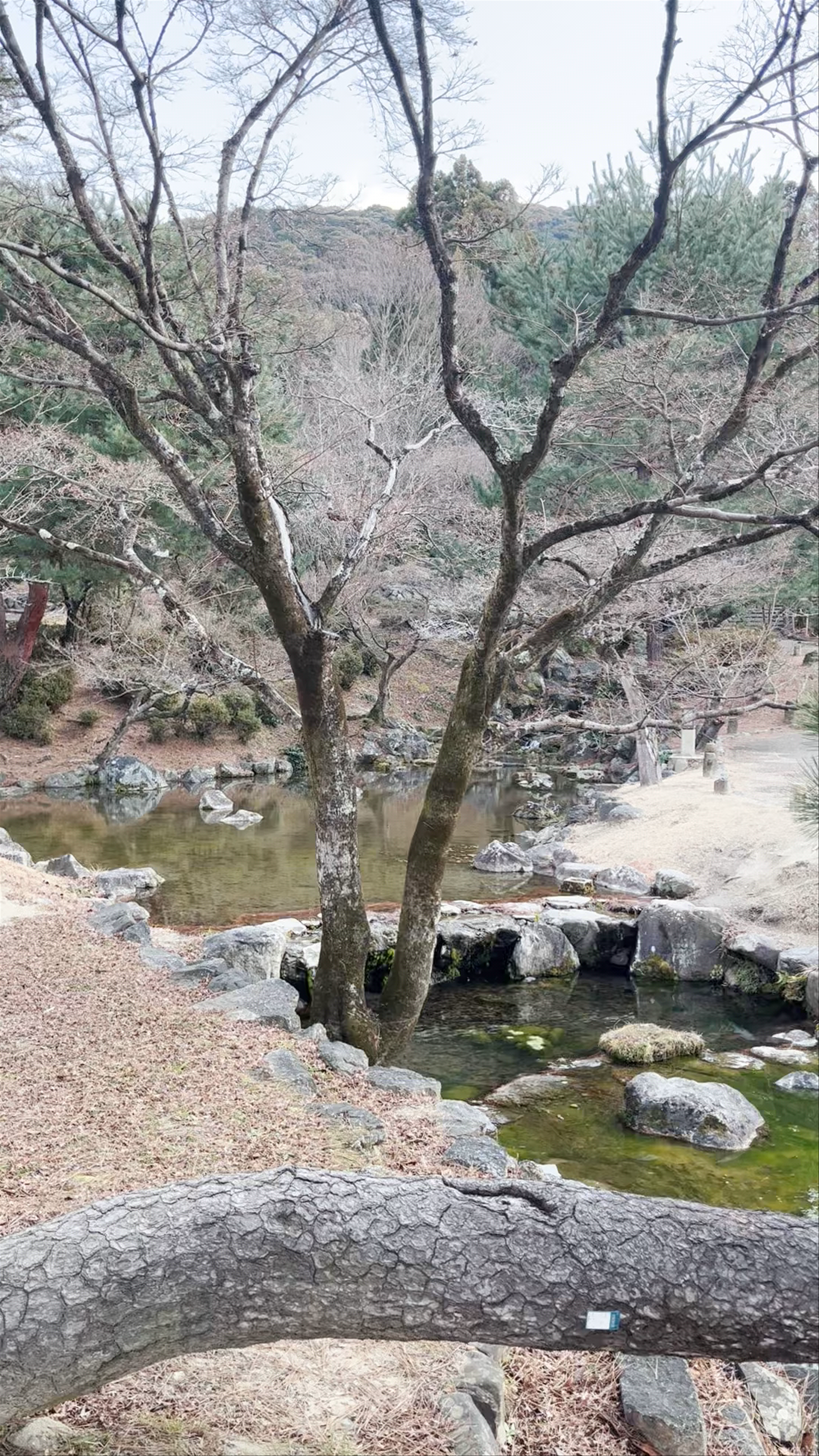 Parque Maruyama