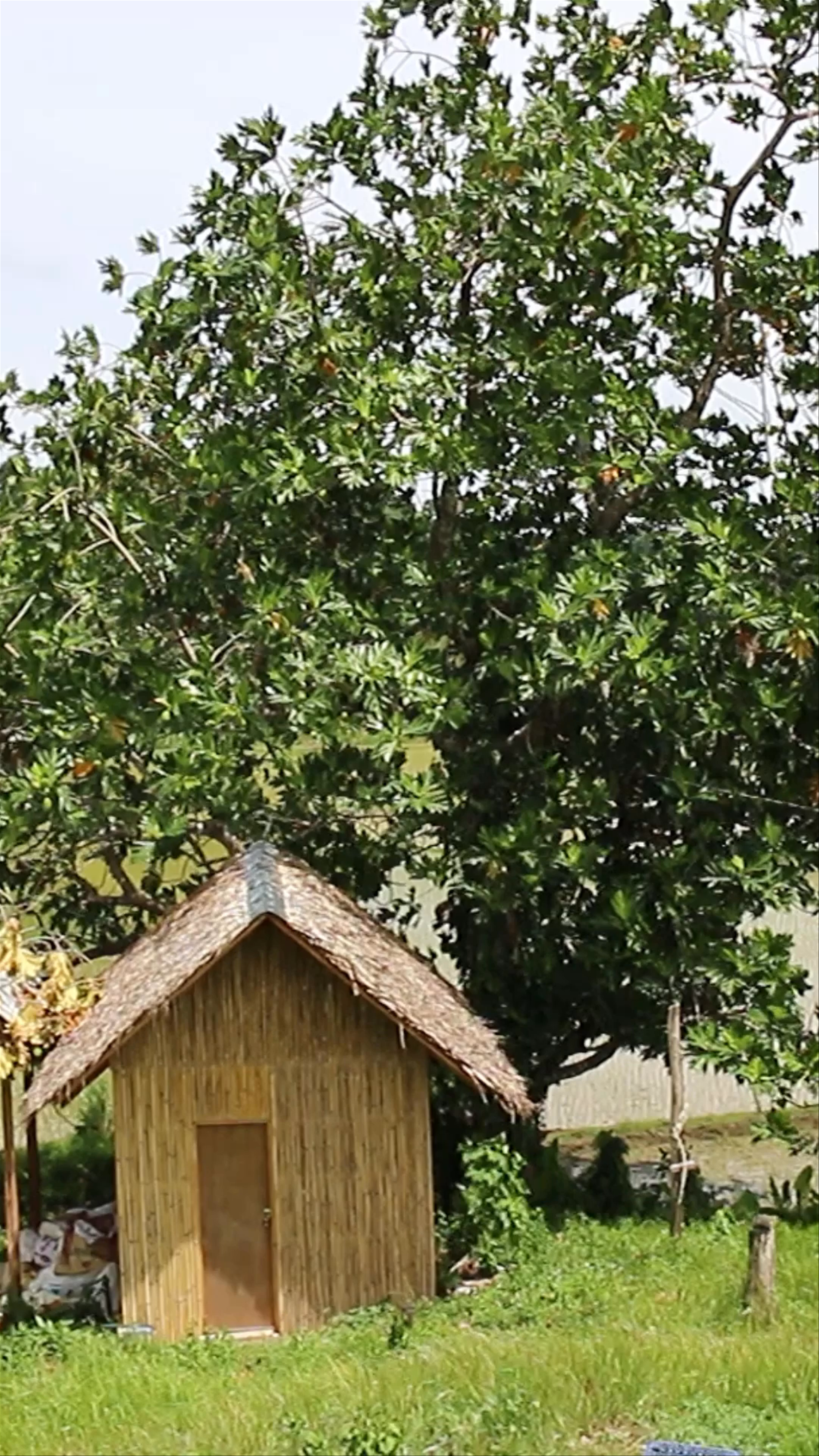 Bilar Hill Park and Restaurant