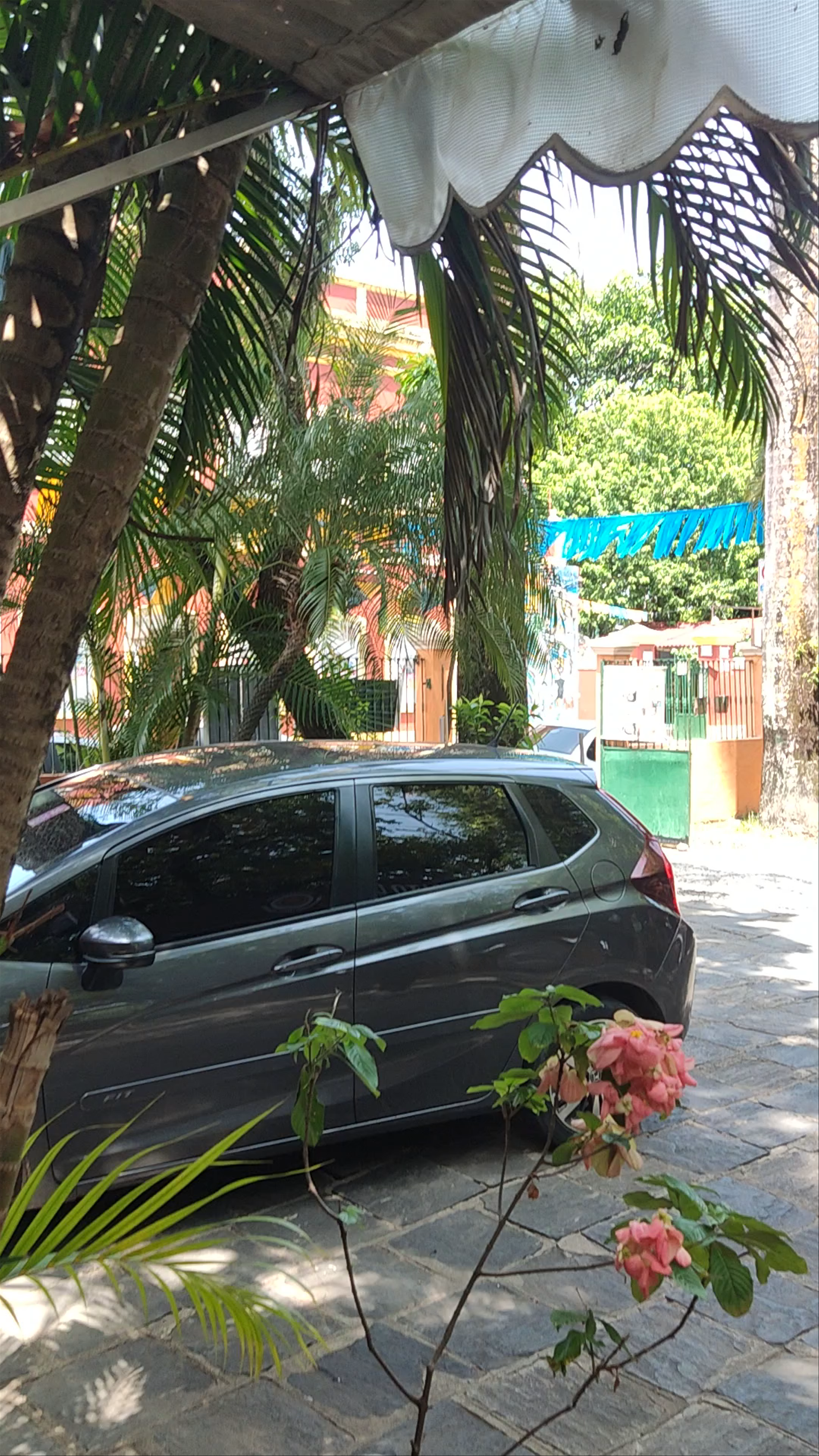 Ecological Artesanatos - Rua Bispo Coutinho - Carmo