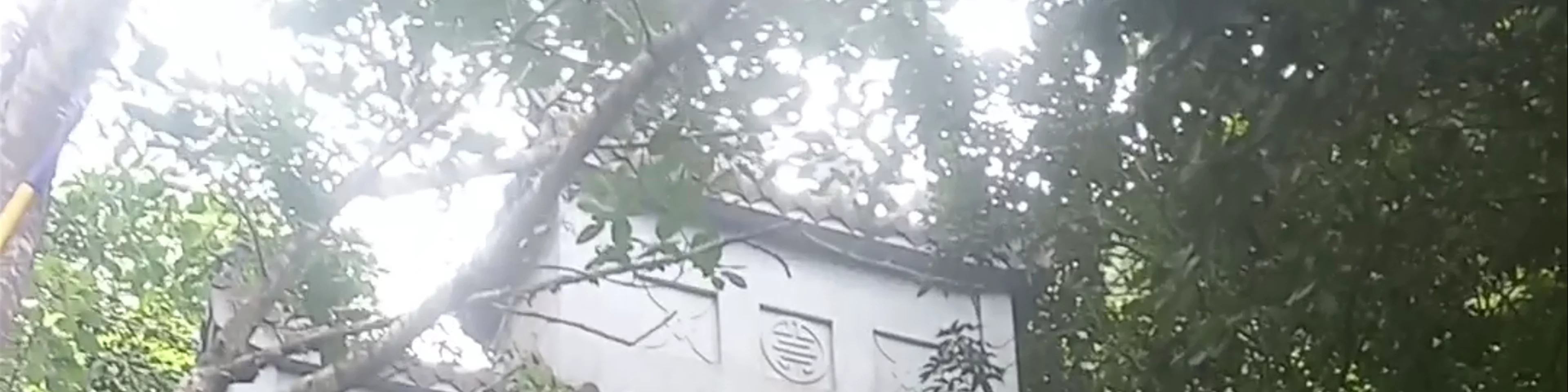 Chùa Bái Đính Cổ