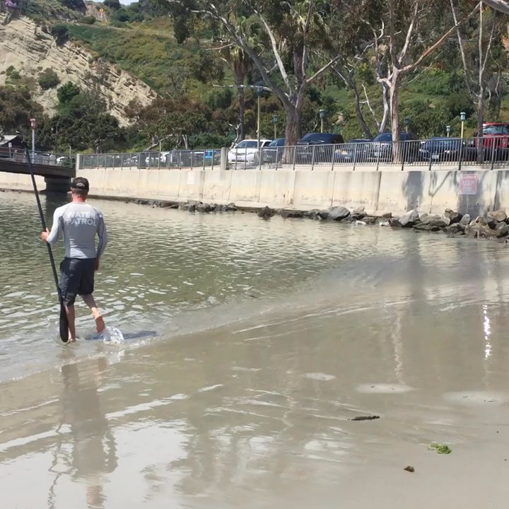 Brusurf - Chris has patients, providing lots of examples to the group and one on one assist when needed. - Beach Equipment Rentals Near Me - San Juan Capistrano, California