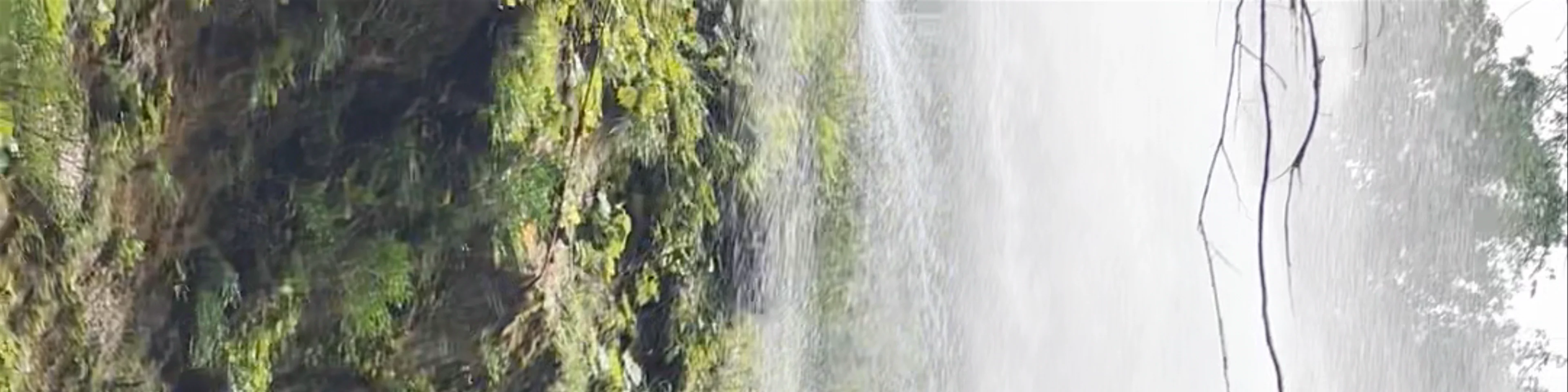 Cascada Misol Ha