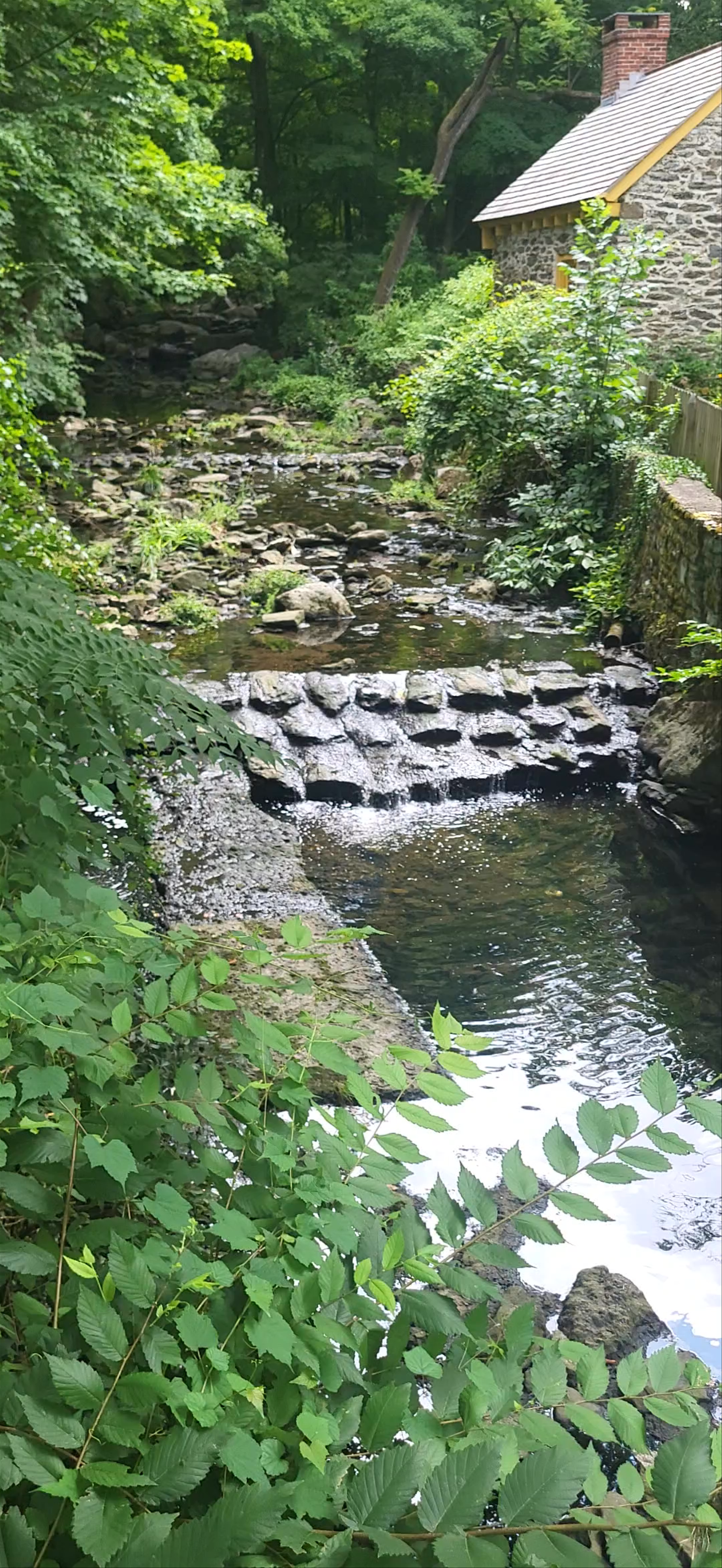 Serene Nature and Historic Charm at Rittenhousetown Homestead, Philadelphia